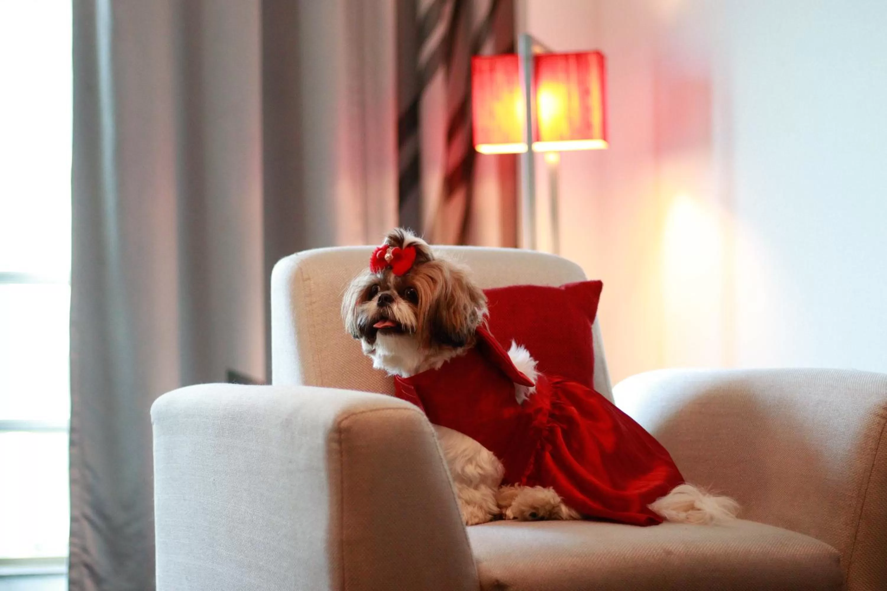 Property building in Novotel Ahmedabad