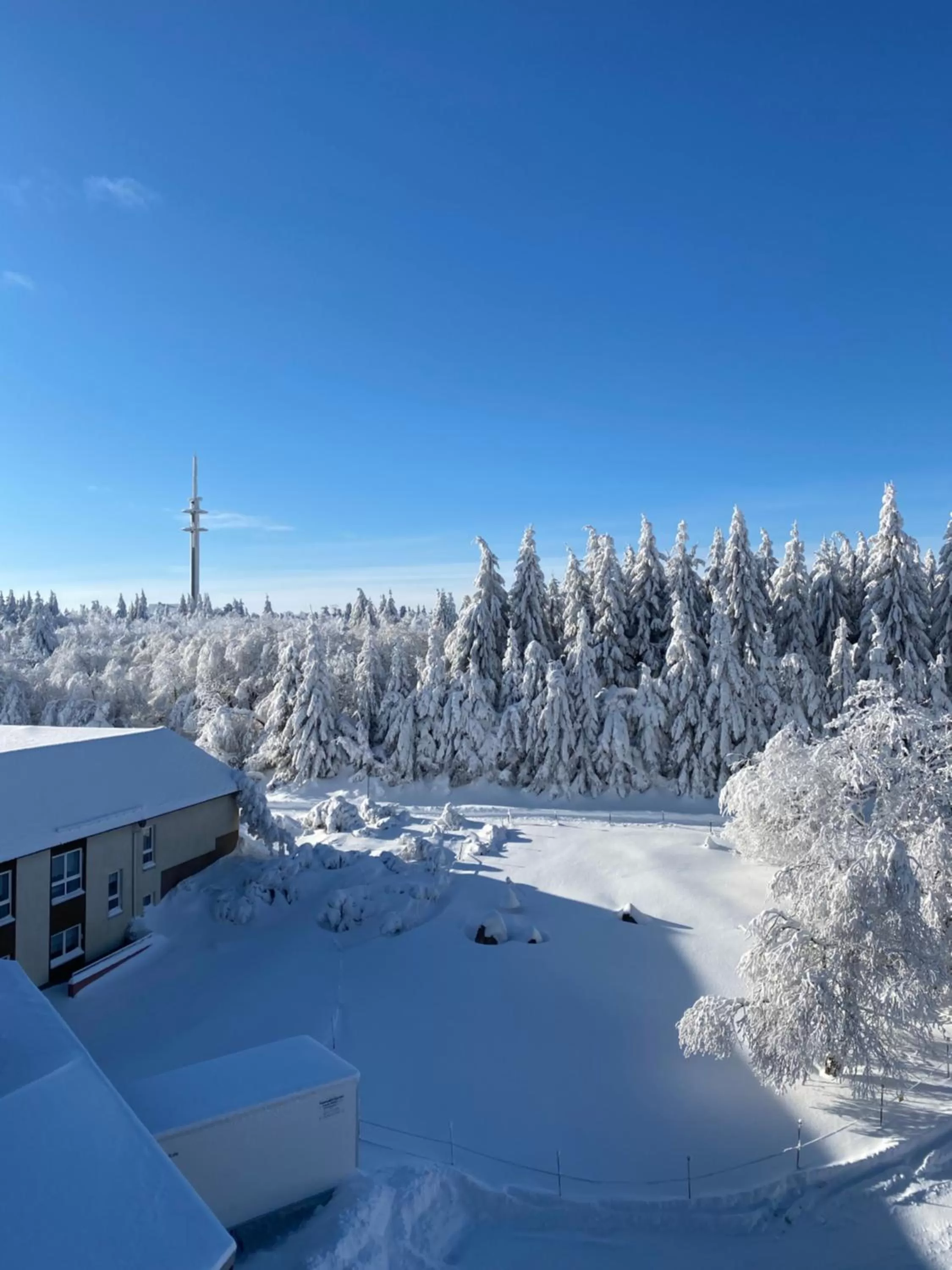 Property building in Hotel Lugsteinhof