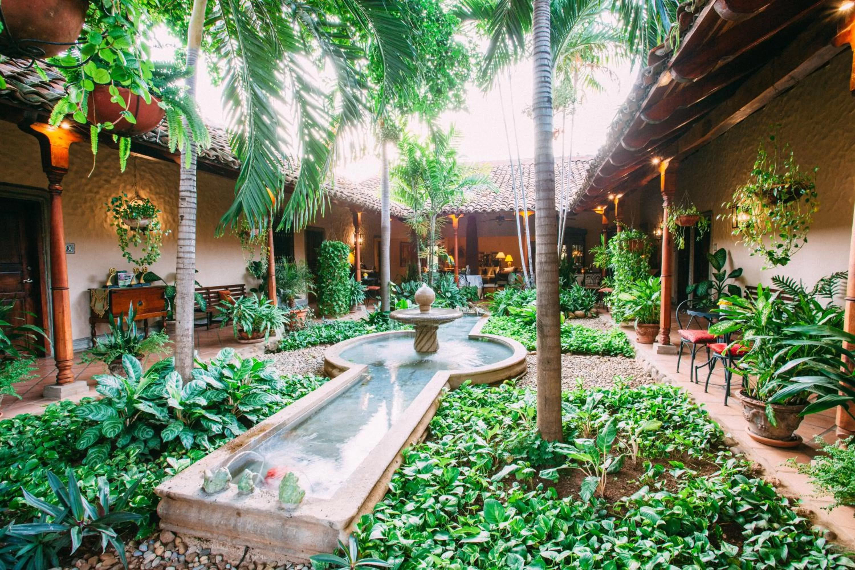 Garden in Hotel Los Robles, Managua, Nicaragua