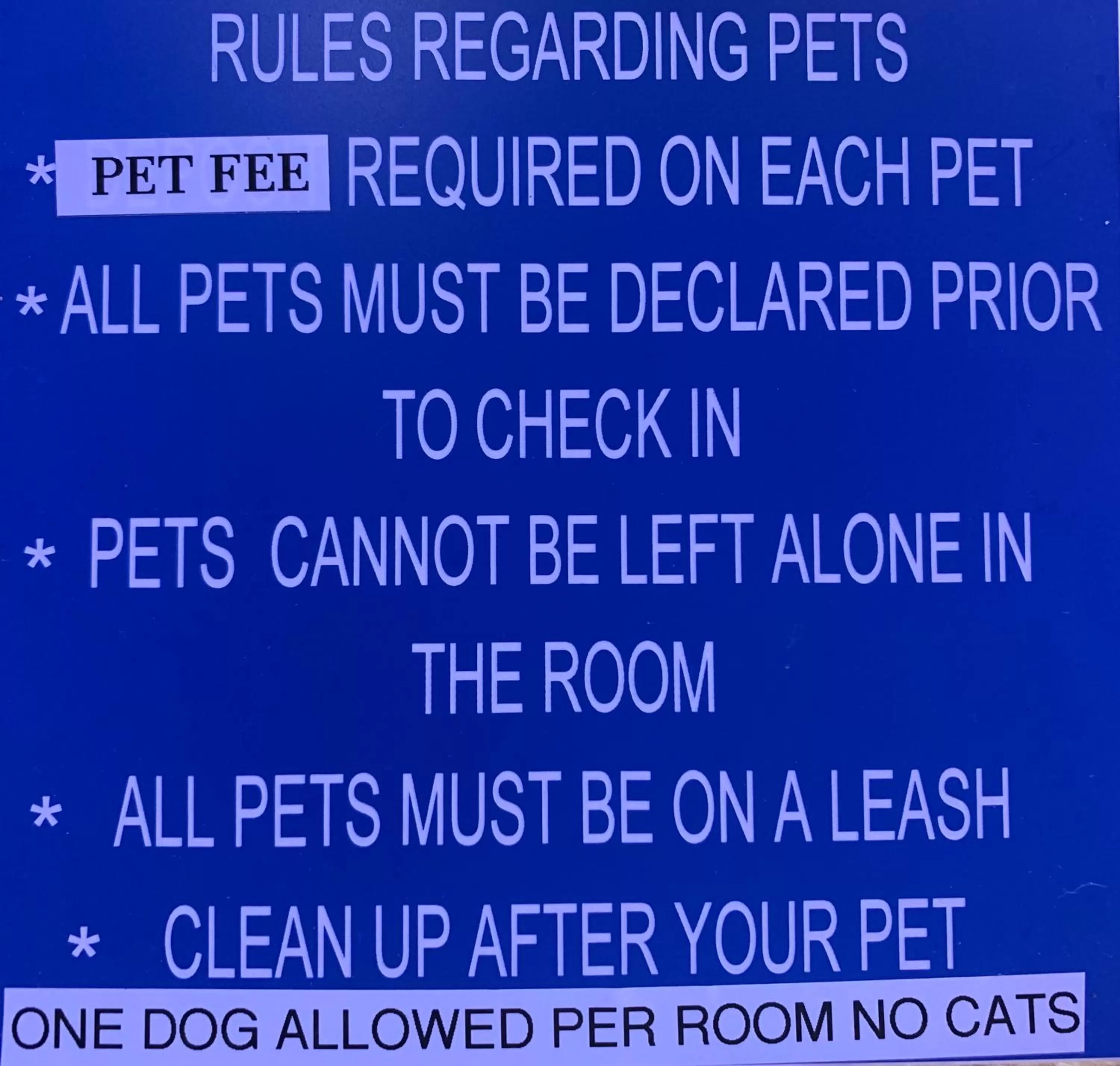 Pets in Windsor Inn Lake Havasu City