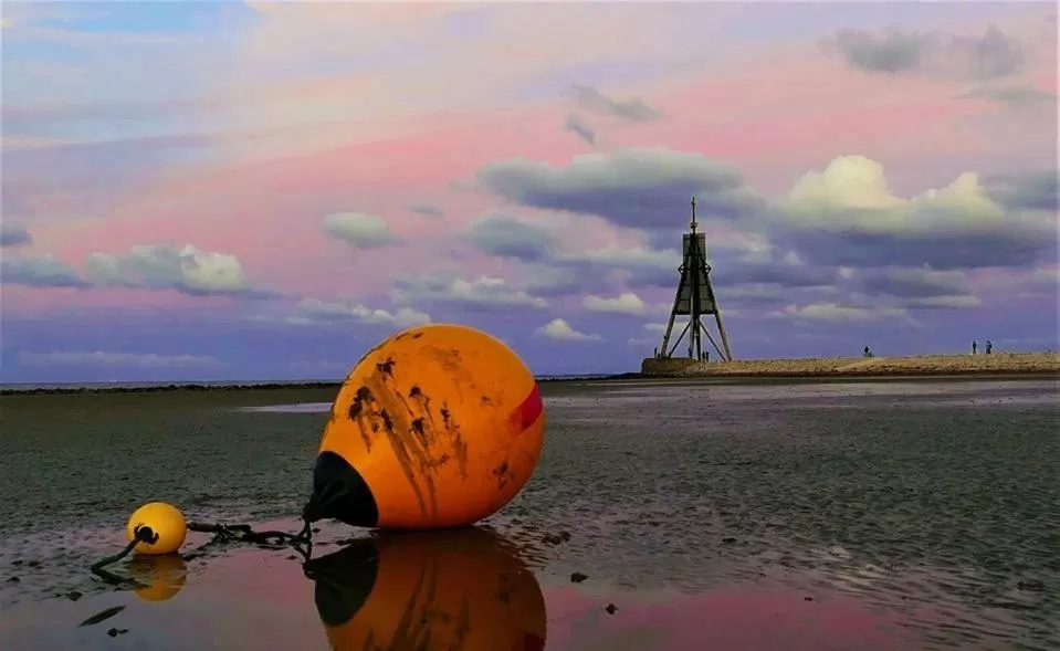 Natural landscape in Hotel Deichgraf