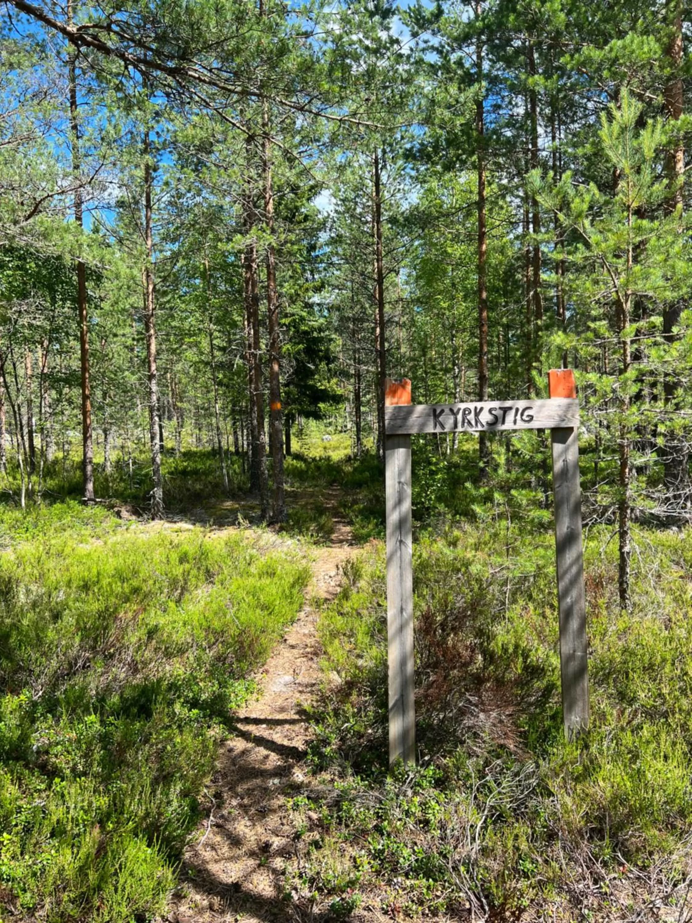 Hiking in Hedenstugan B&B Hotel