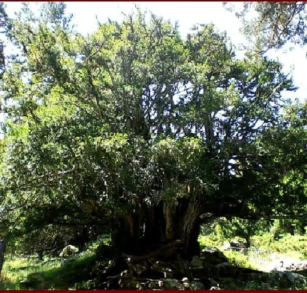 Hiking in Posada el Campanario