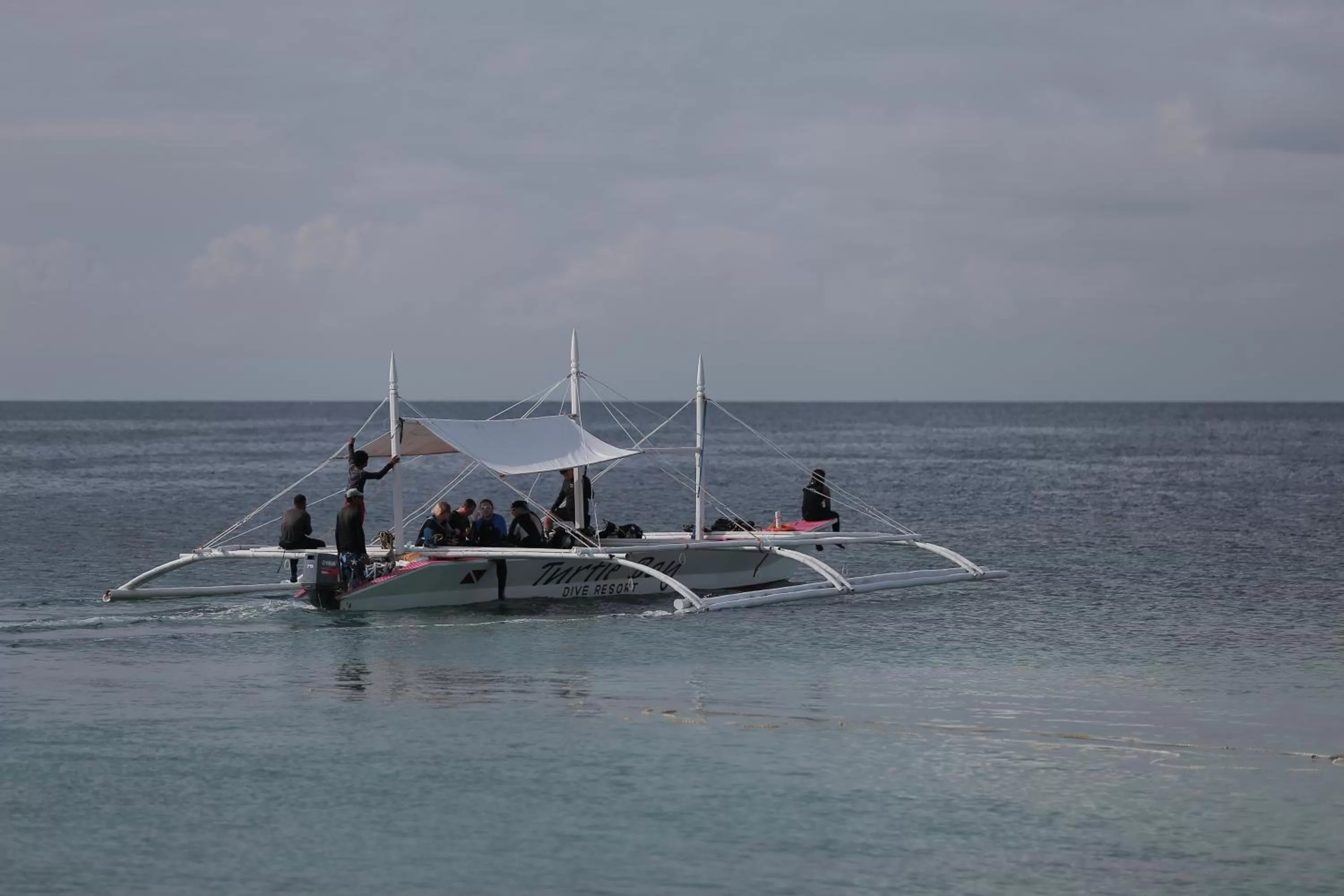 Activities in Turtle Bay Dive Resort