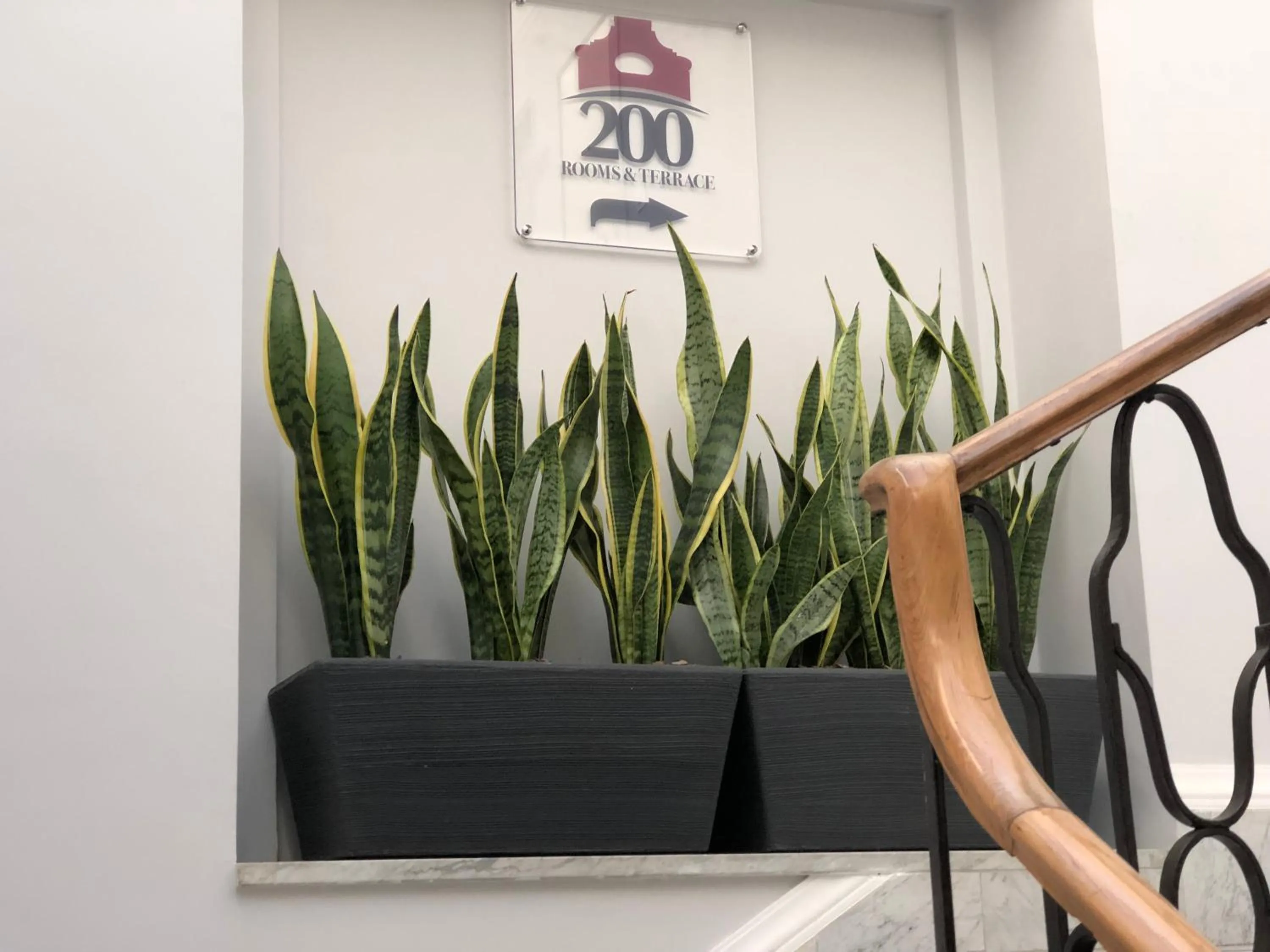 Lobby or reception in 200 ROOMS & TERRACE