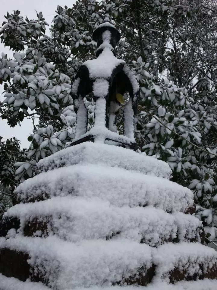 Winter in Shadowlawn Bed and Breakfast