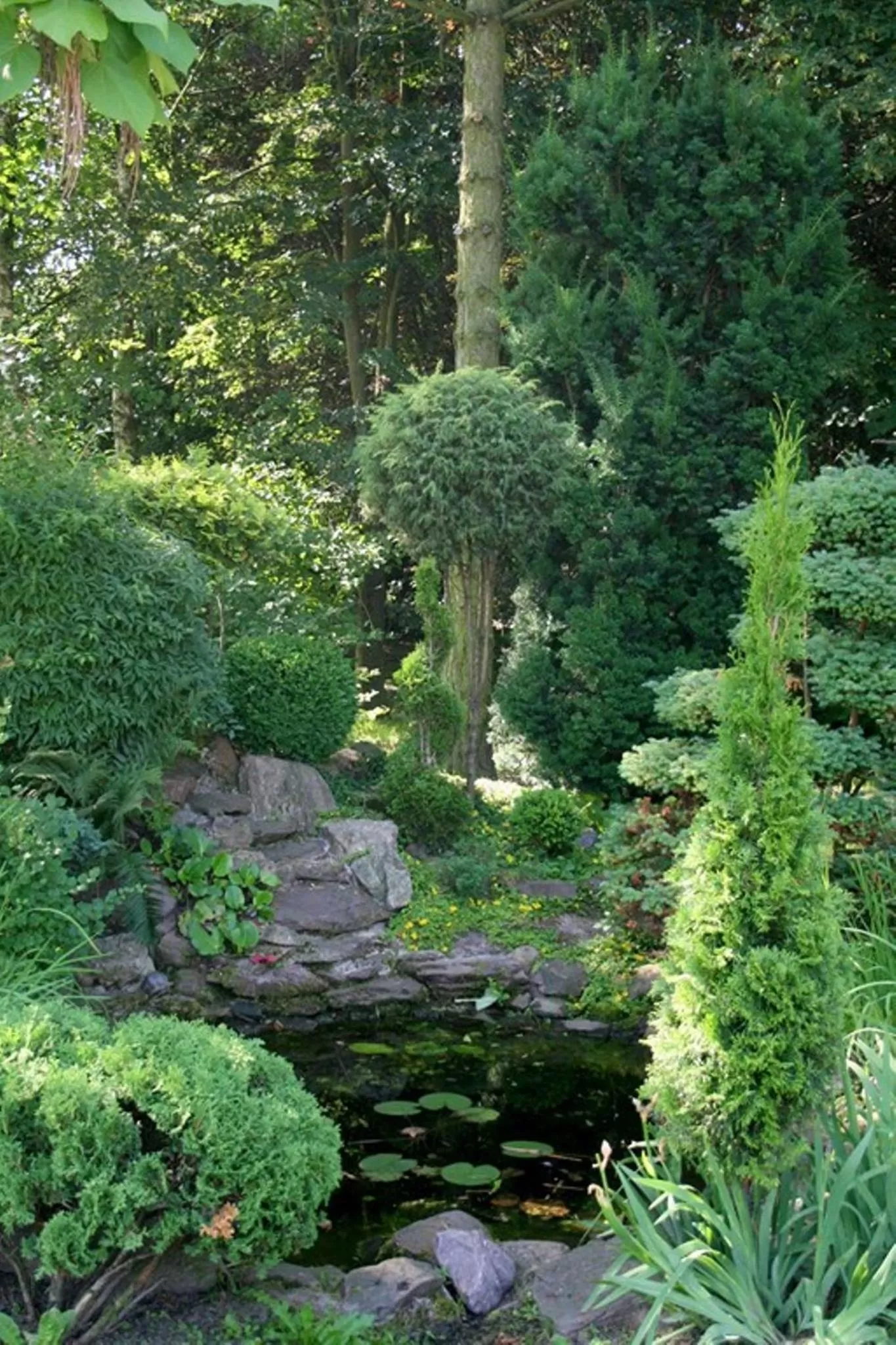 Activities, Garden in HOTEL ODR