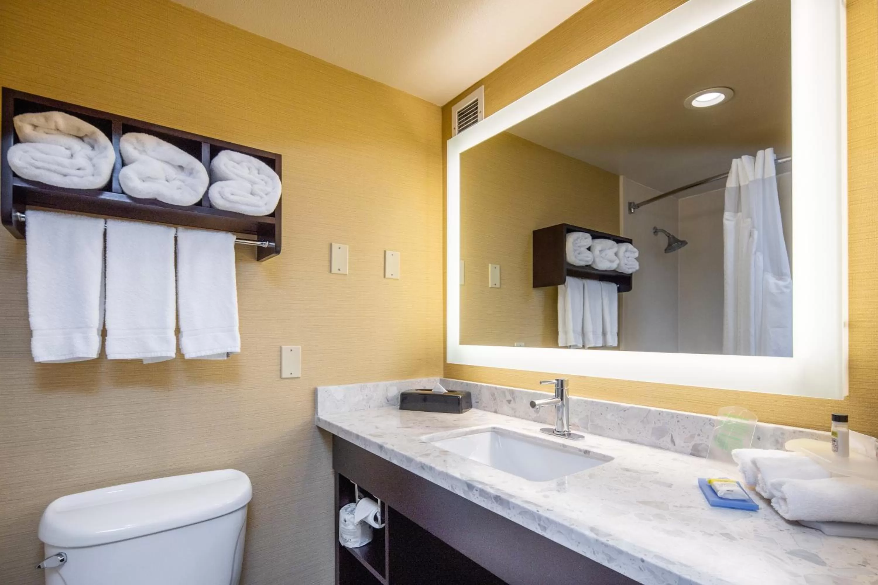 Bathroom in Holiday Inn Express Castro Valley - I-580 by IHG