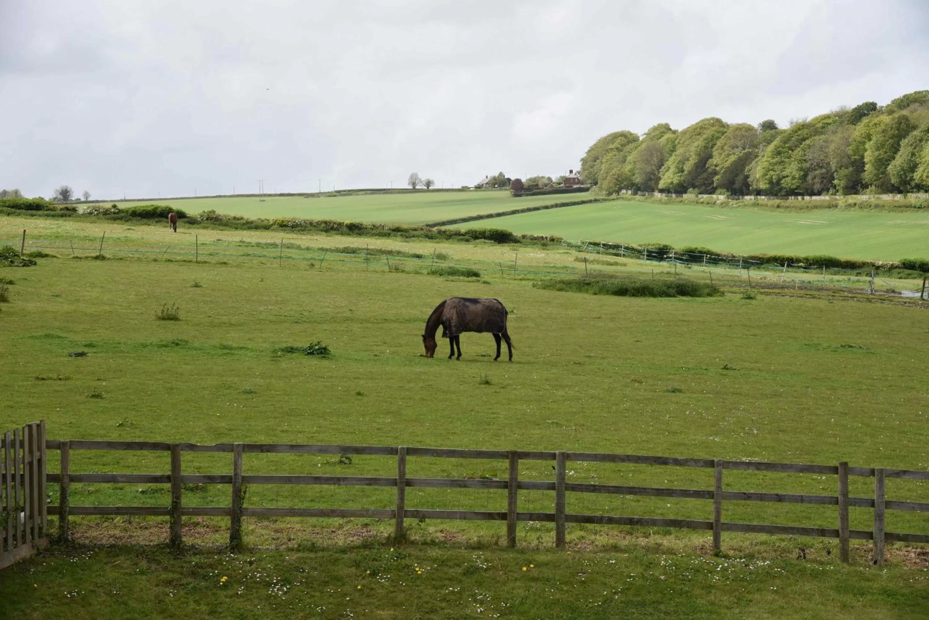 View (from property/room) in Lower Bryanston Farm