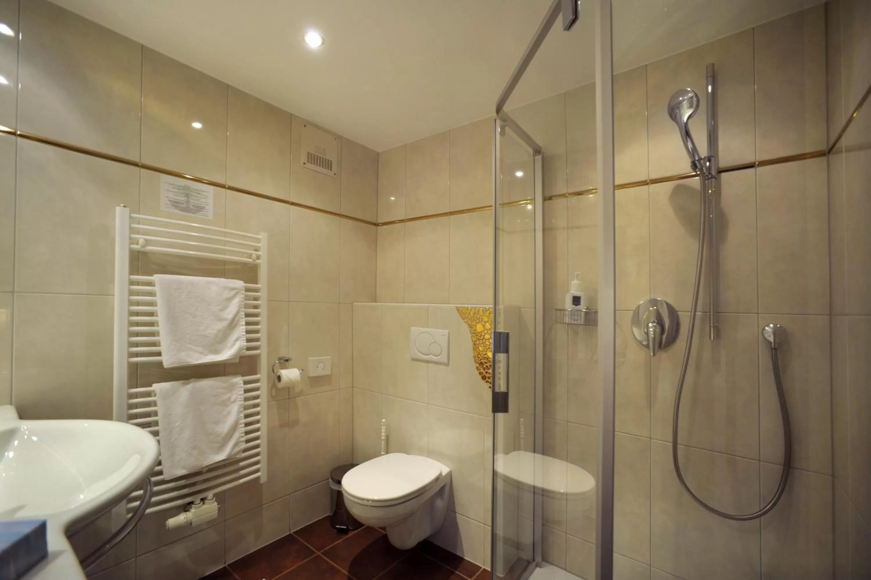 Bathroom in Hotel Goldener Löwe