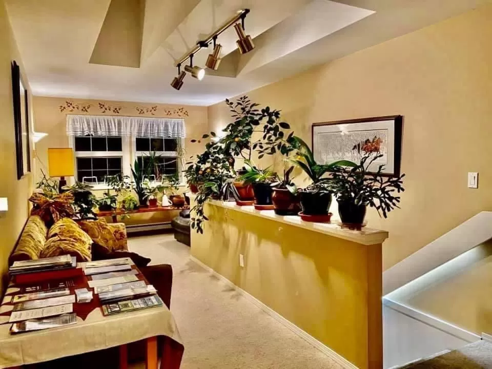 Seafarer Bed & Breakfast