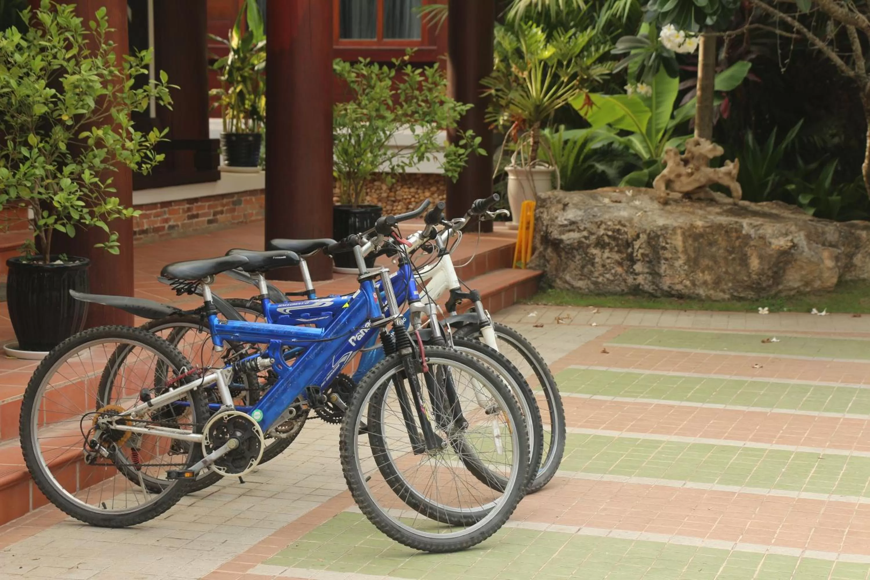 Cycling, Biking in Try Palace Resort-Kep