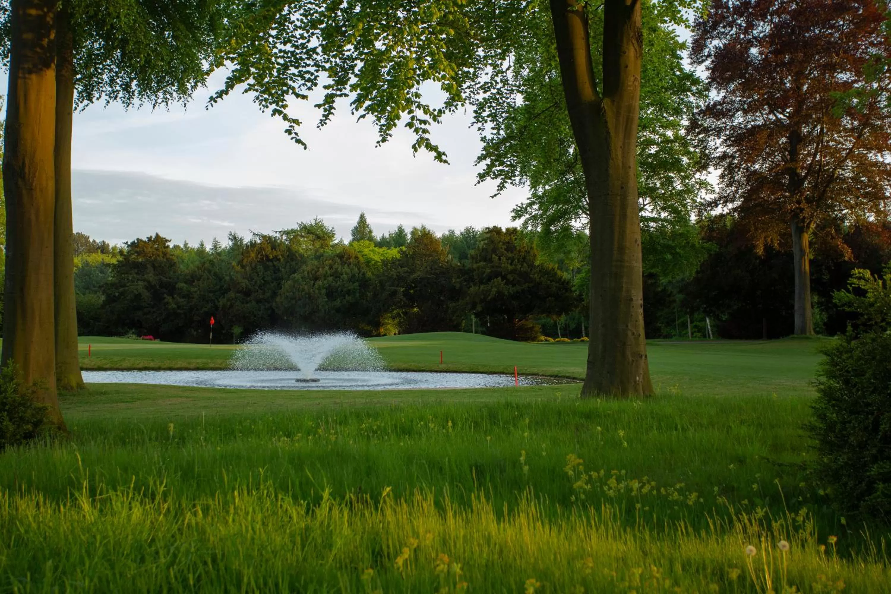 Golfcourse in Forest Pines Hotel, Spa & Golf Resort