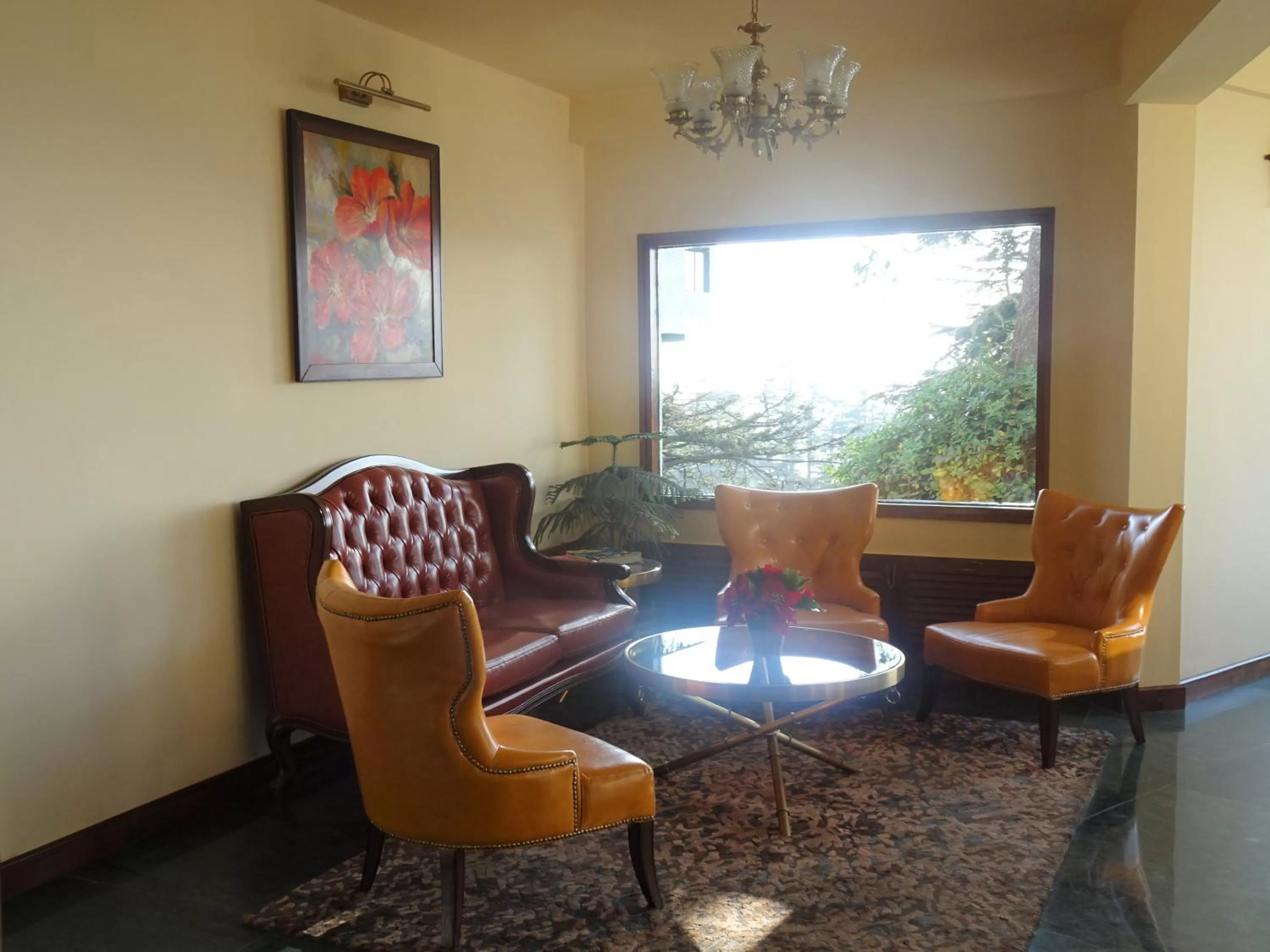 Area and facilities in Honeymoon Inn Shimla
