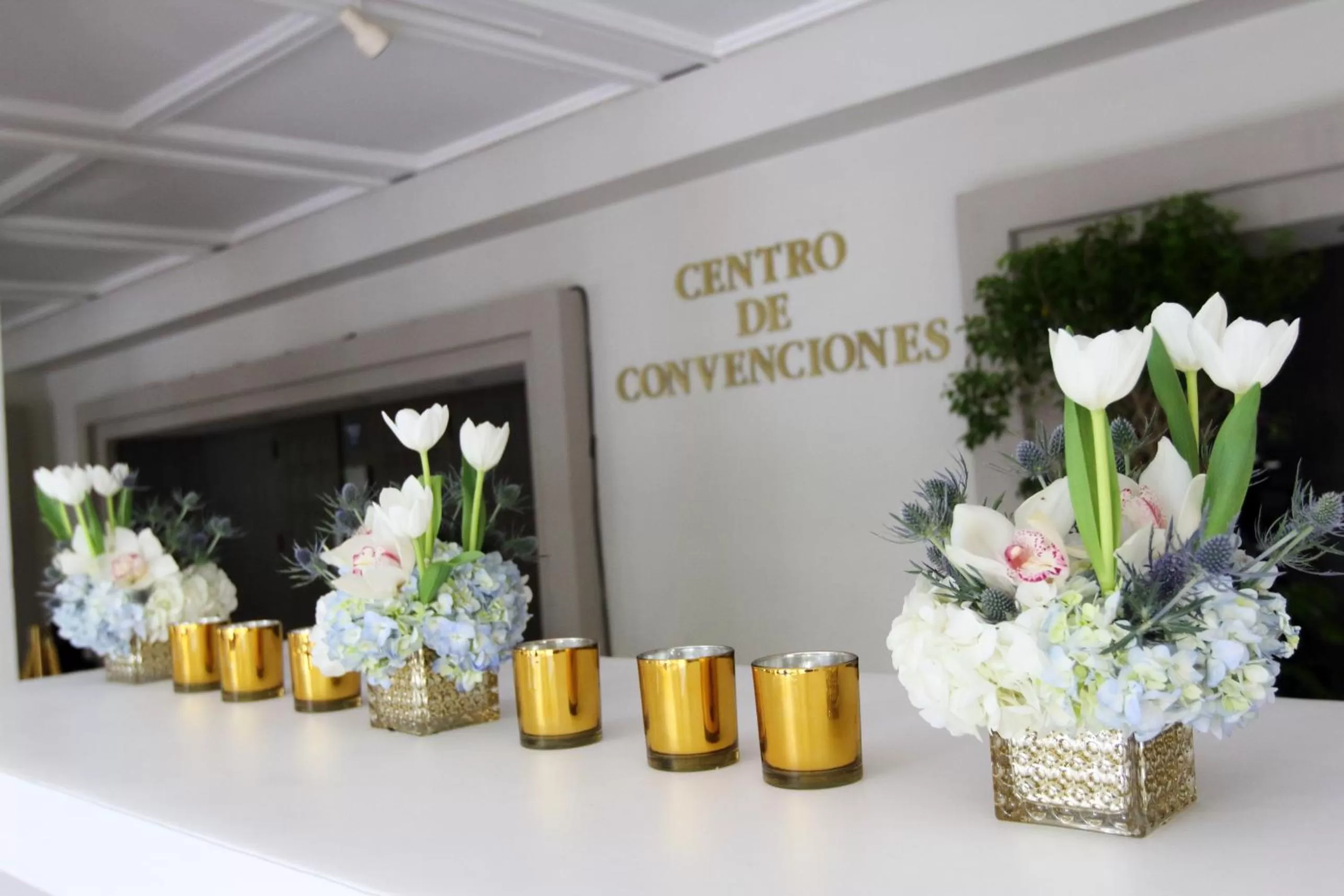 Banquet/Function facilities in Mayaguez Resort & Casino