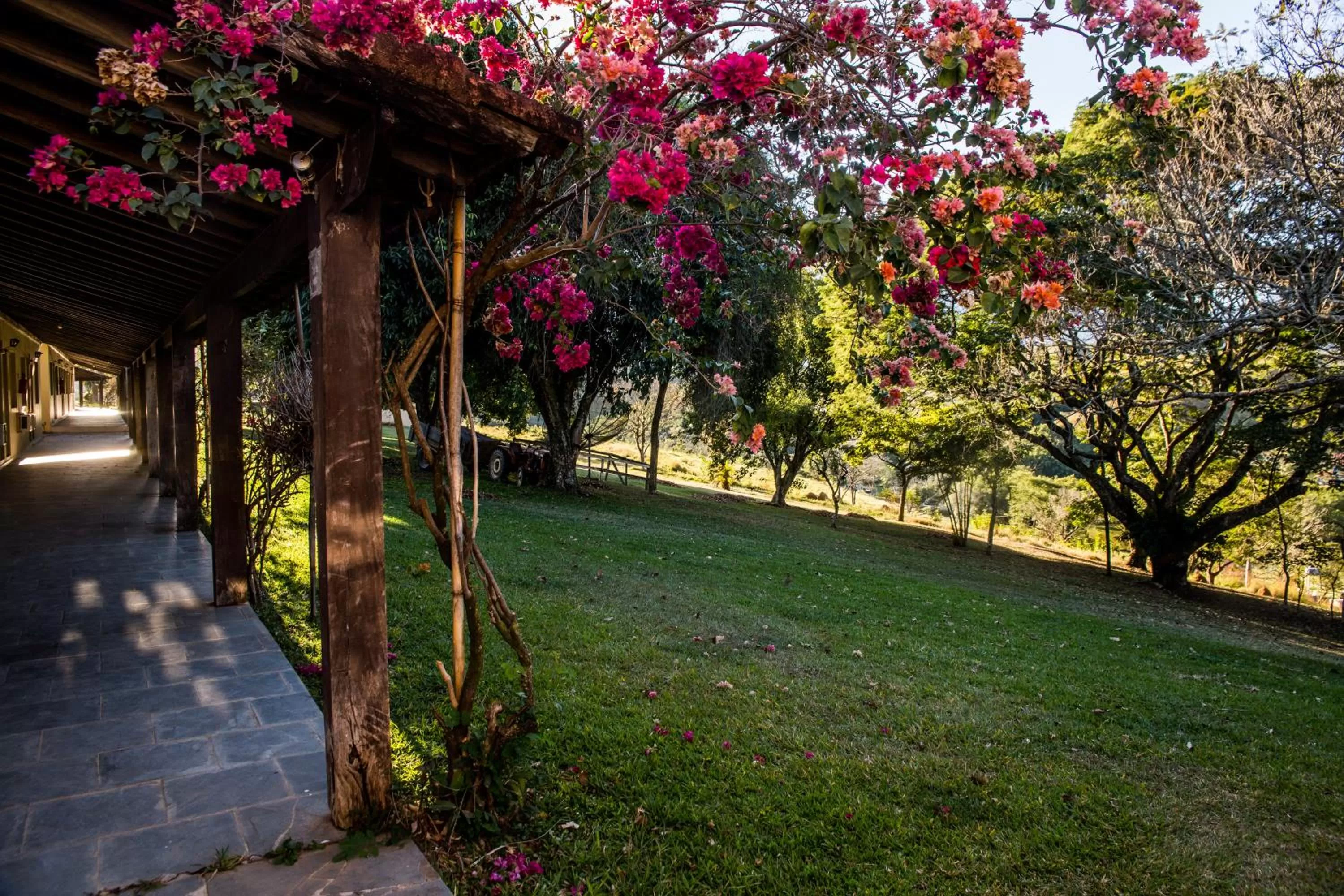Garden view in Pousada Flor da Serra