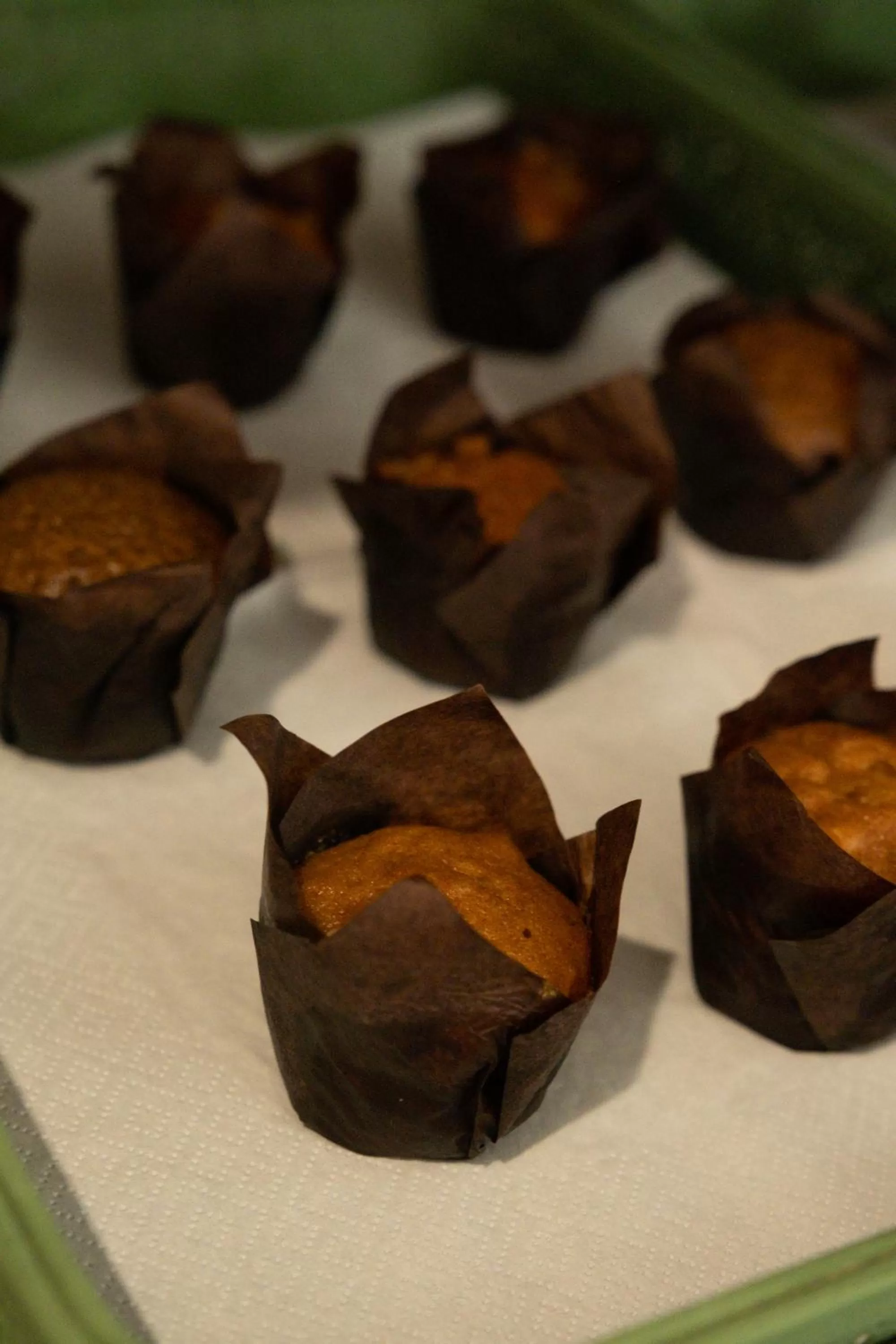 Ria Formosa Guest House