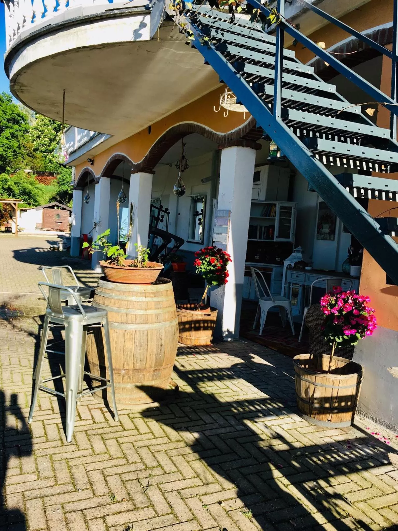 Rossella alla Villarella dei Tulipani