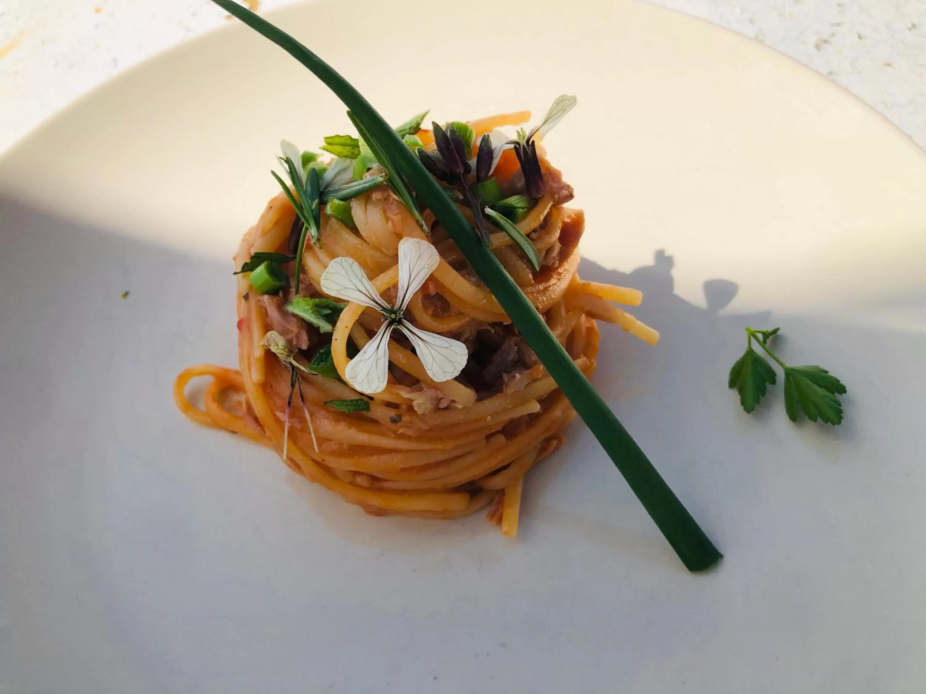 Vila Rahmi & Veli Dervishaj