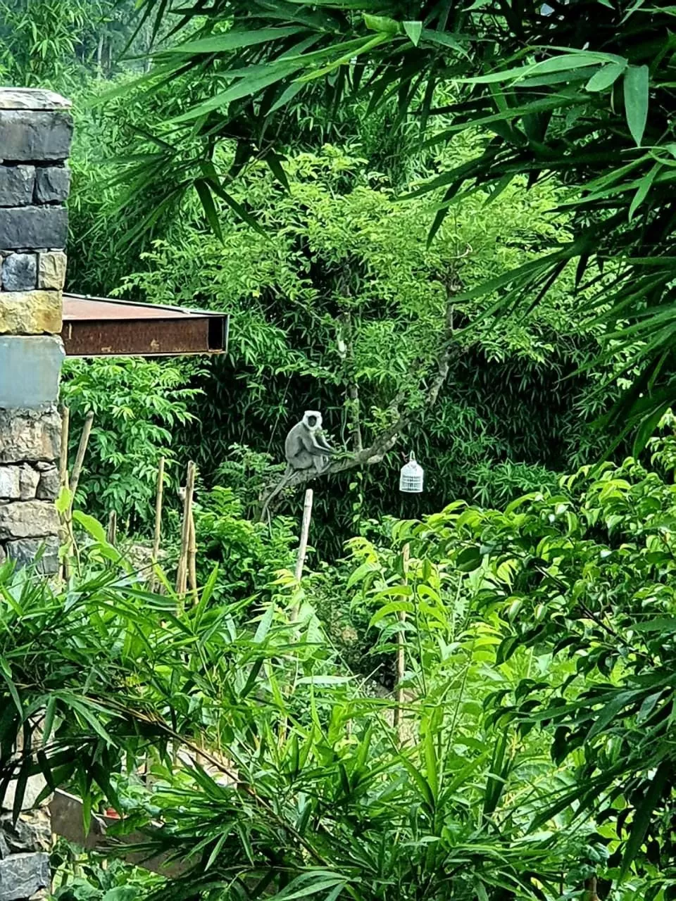 Garden in Nishantam Rishikesh