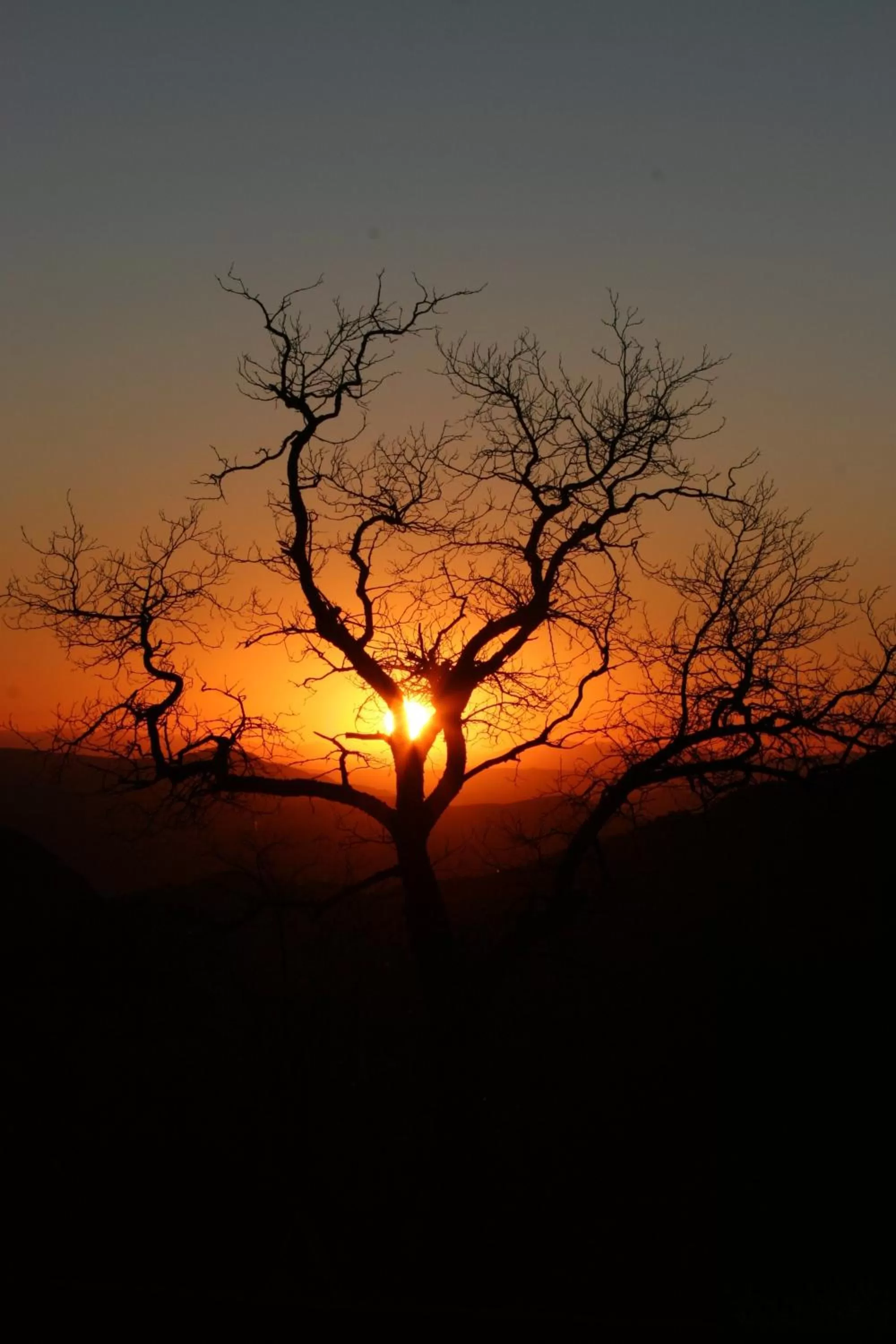 Area and facilities in Sugarloaf Mountain Motel