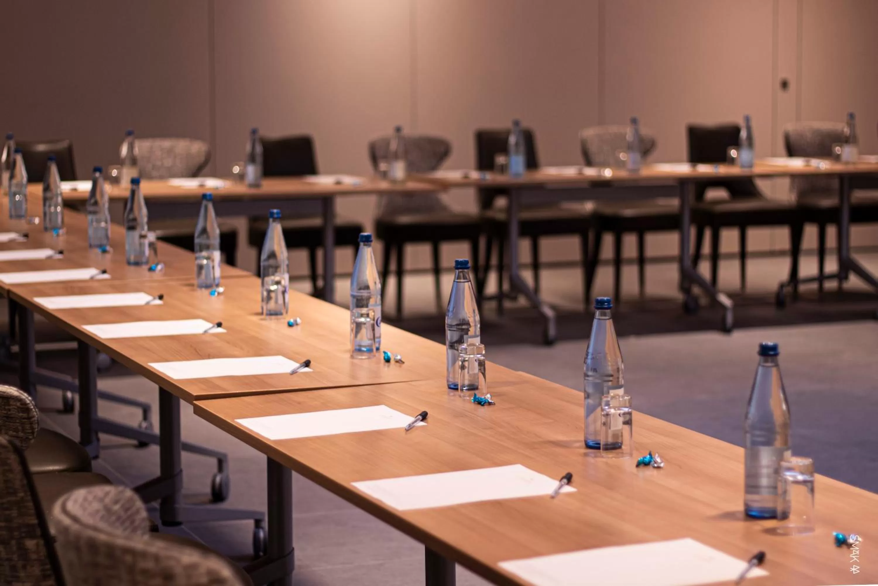 Business facilities in Hotel L'Europe Colmar, BW Signature Collection