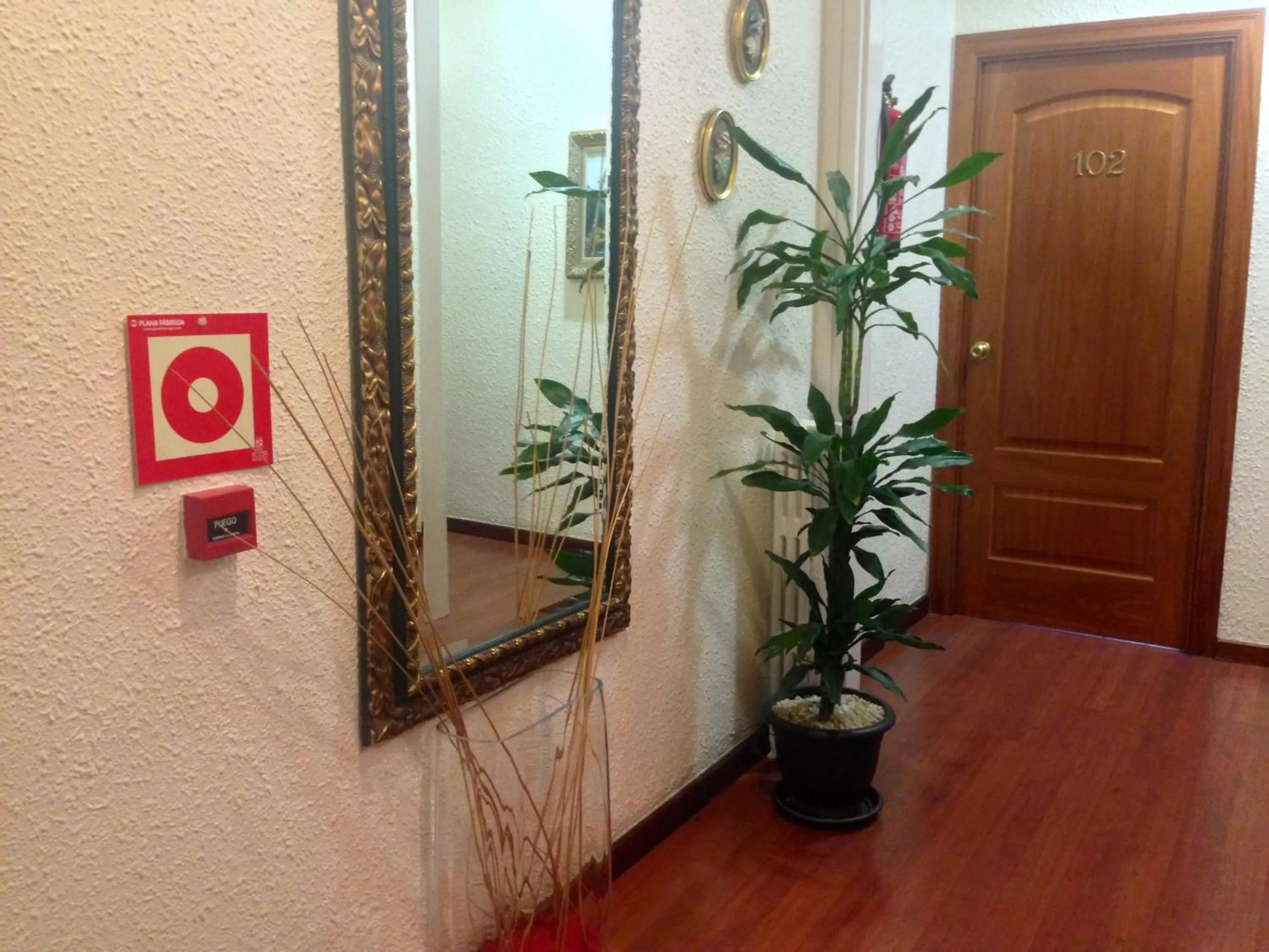 Decorative detail in Hotel Pelayo