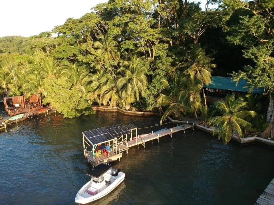 Bird's-eye View in Carmen's place