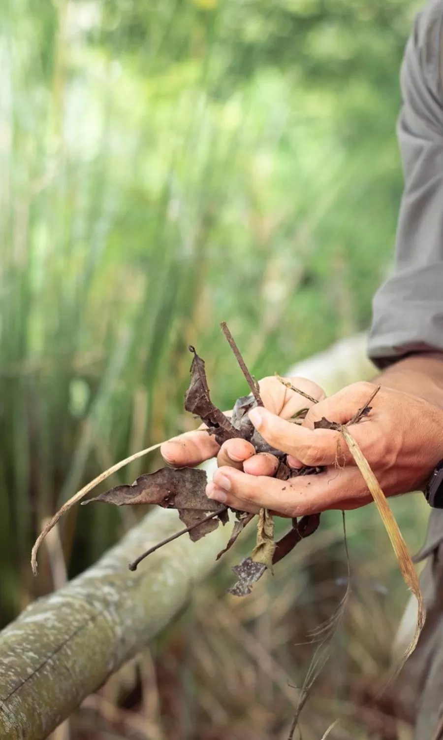 Natural landscape in MuchoSur Quimbaya