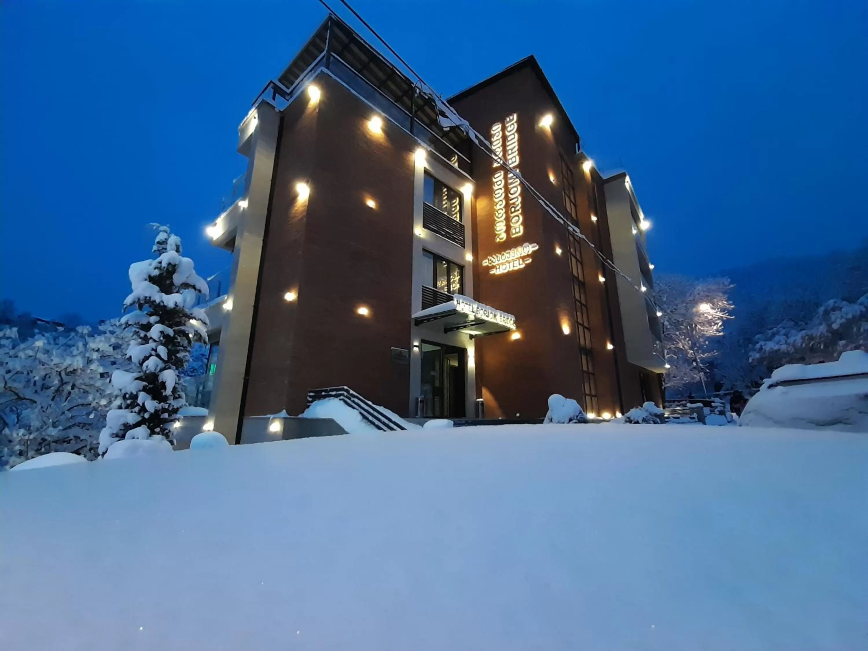 Property building, Winter in Borjomi Bridge Hotel