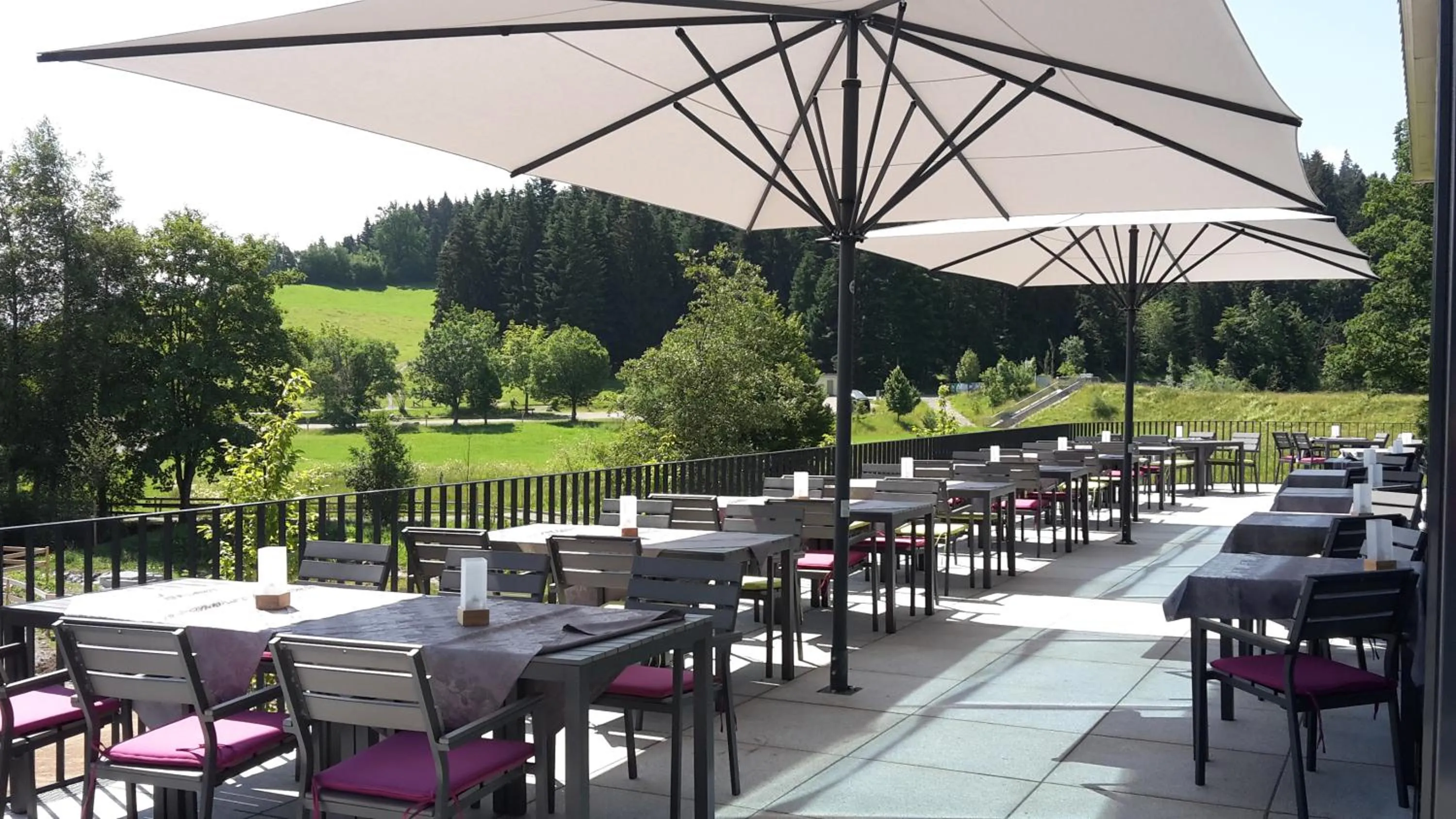 Restaurant/places to eat in Hotel Edita