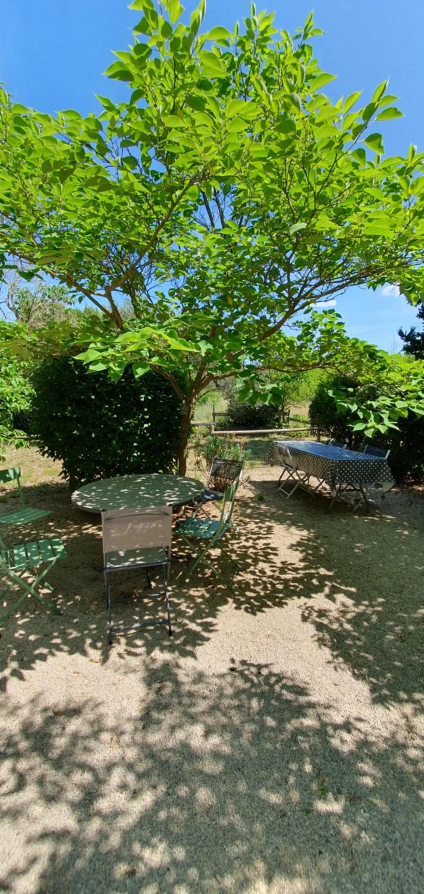 Aux berges du pont du gard
