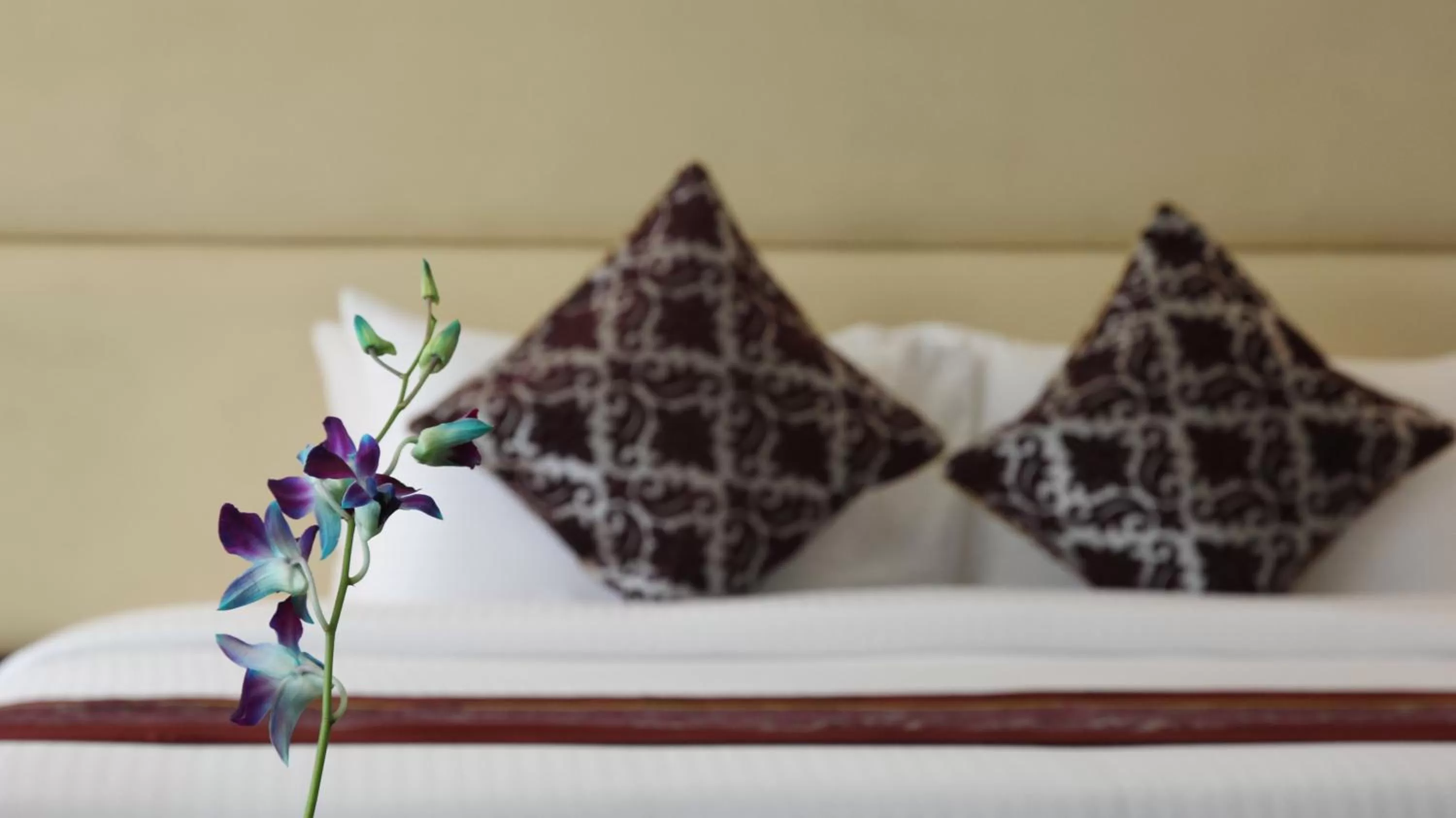 bunk bed, Bed in Clarks Inn Suites Gwalior