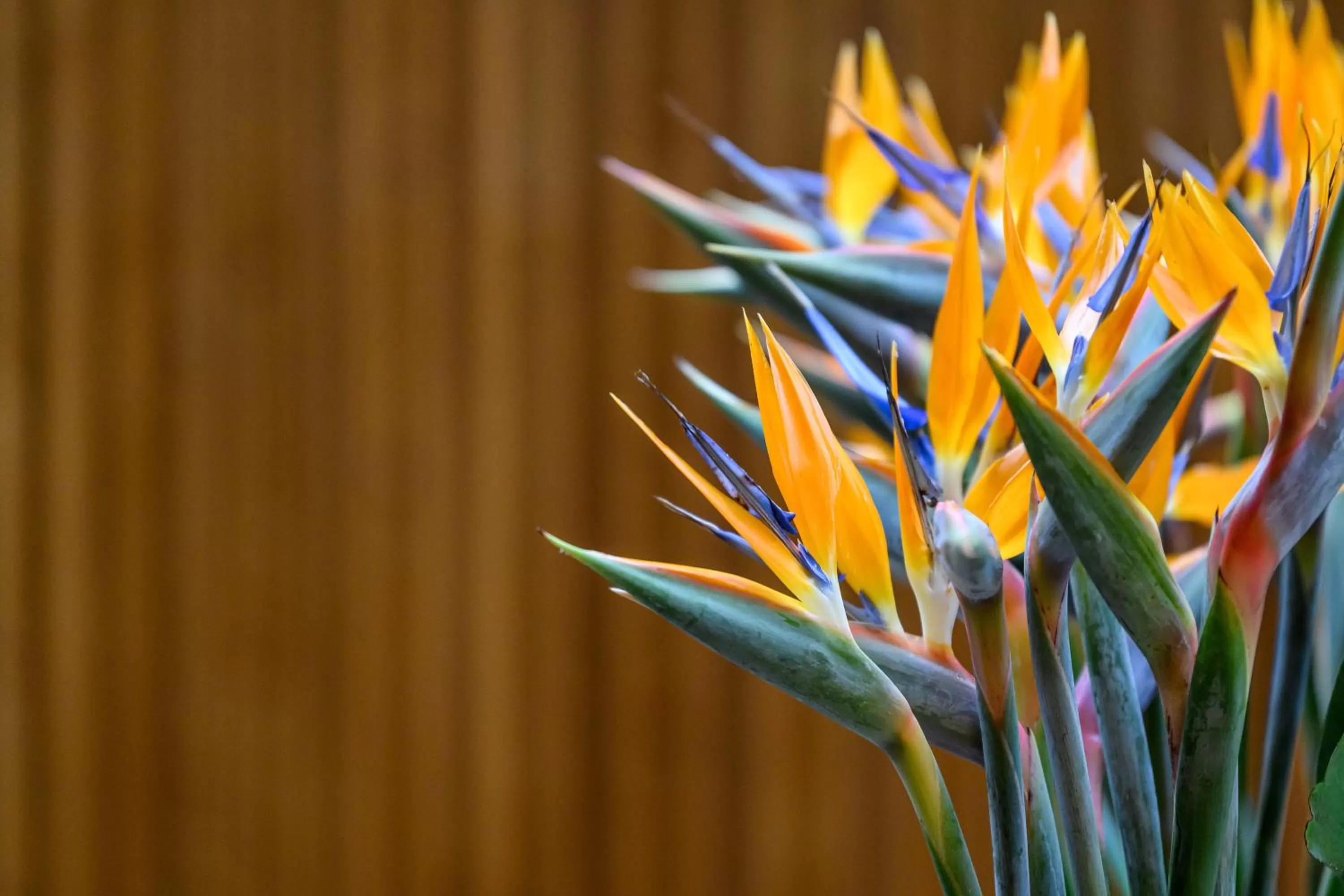 Decorative detail in Inspira Liberdade Boutique Hotel