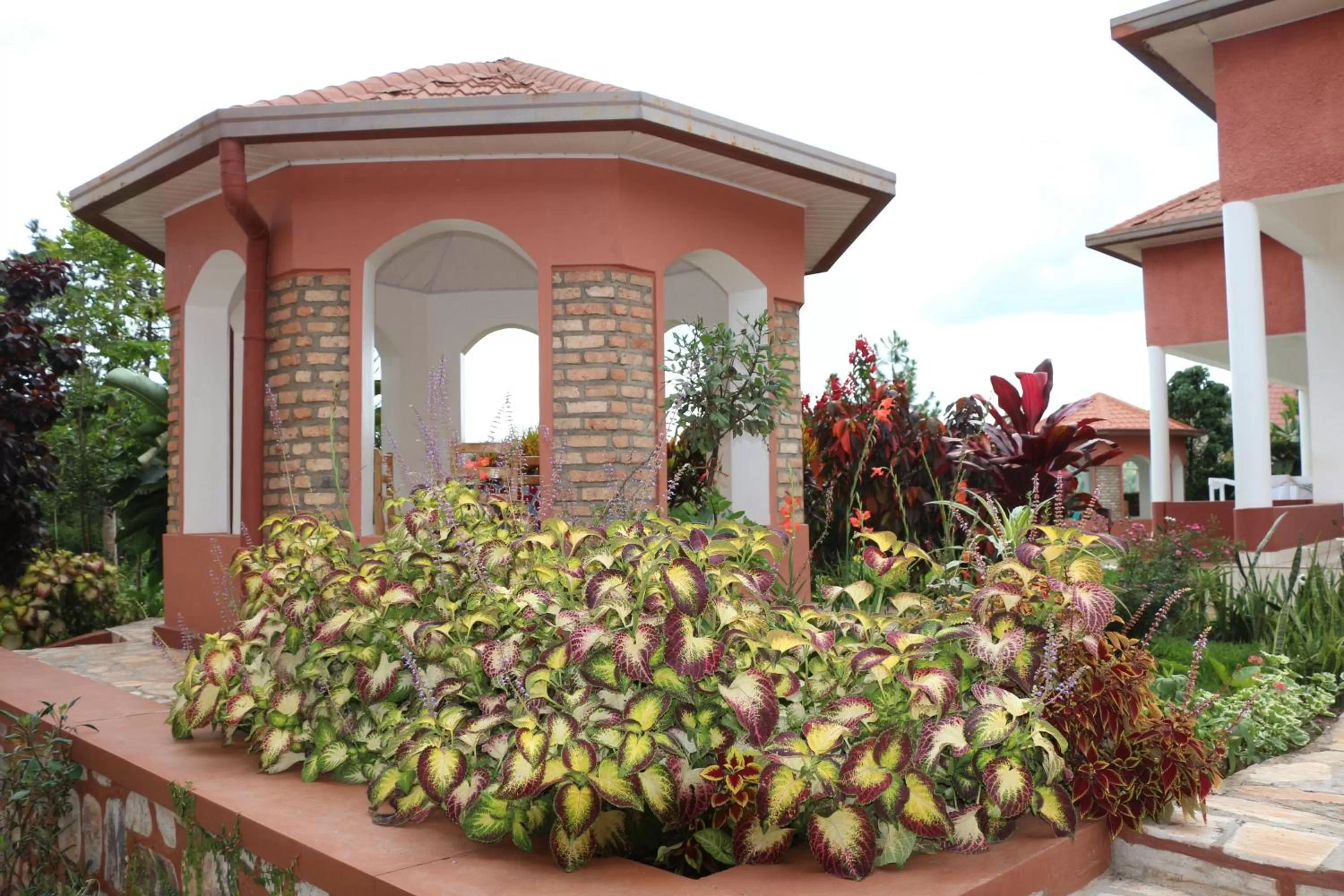 Garden in Hôtel Maisons-Sifa