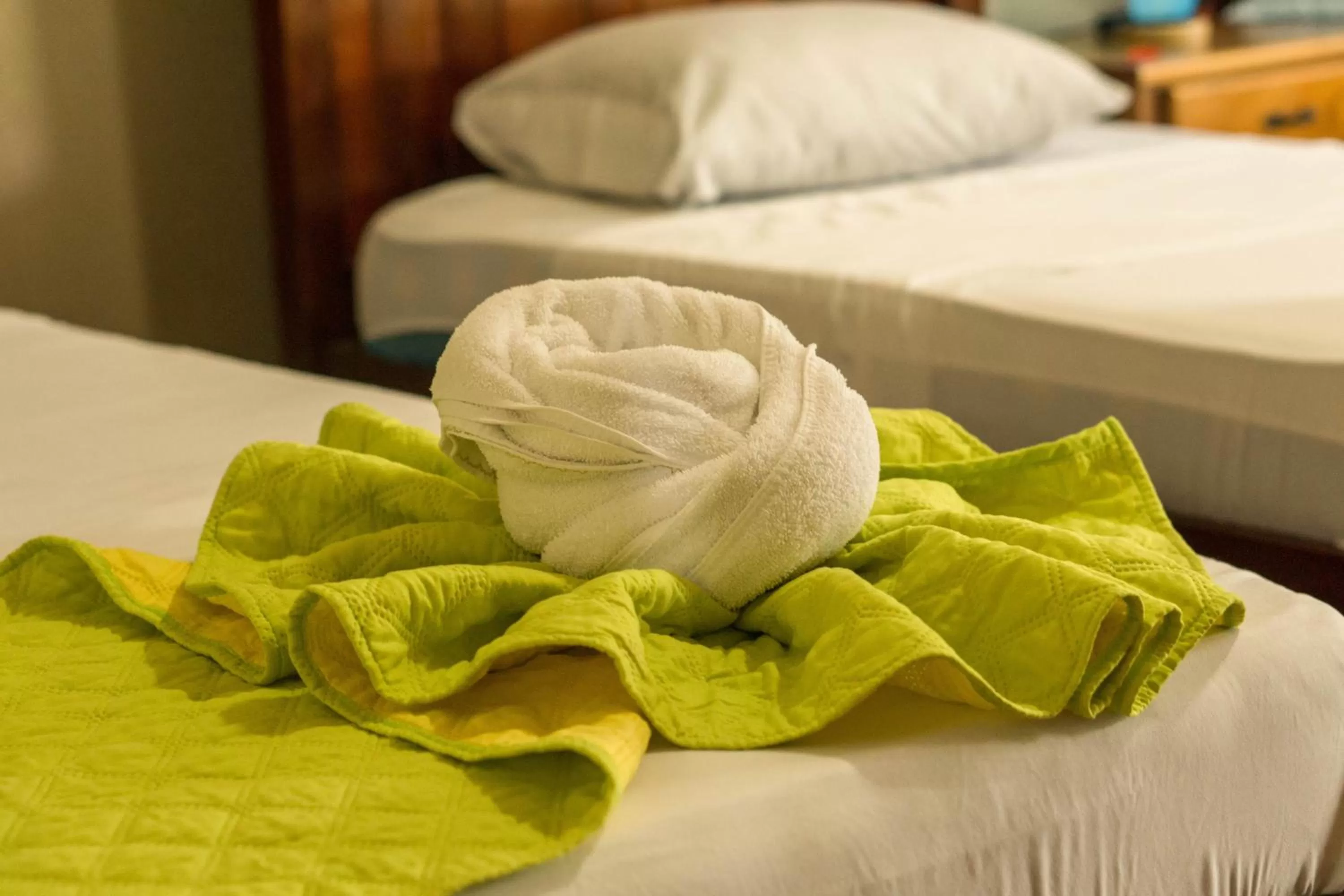 Hotel & Hot Springs Sueño Dorado