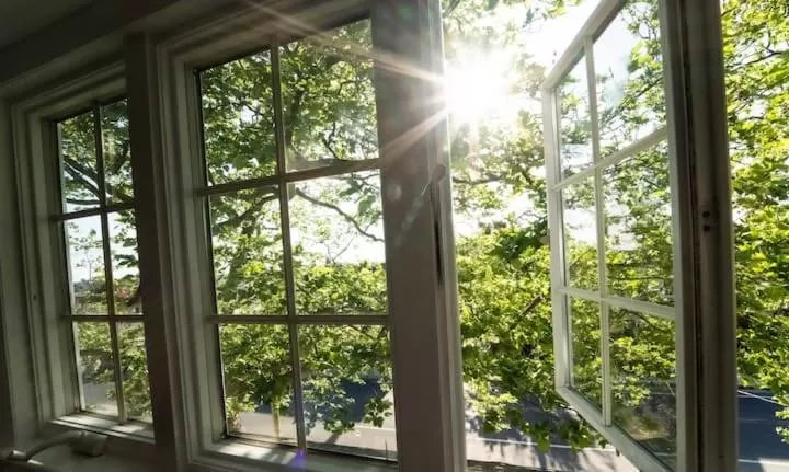 Buttonwood Boutique Hotel