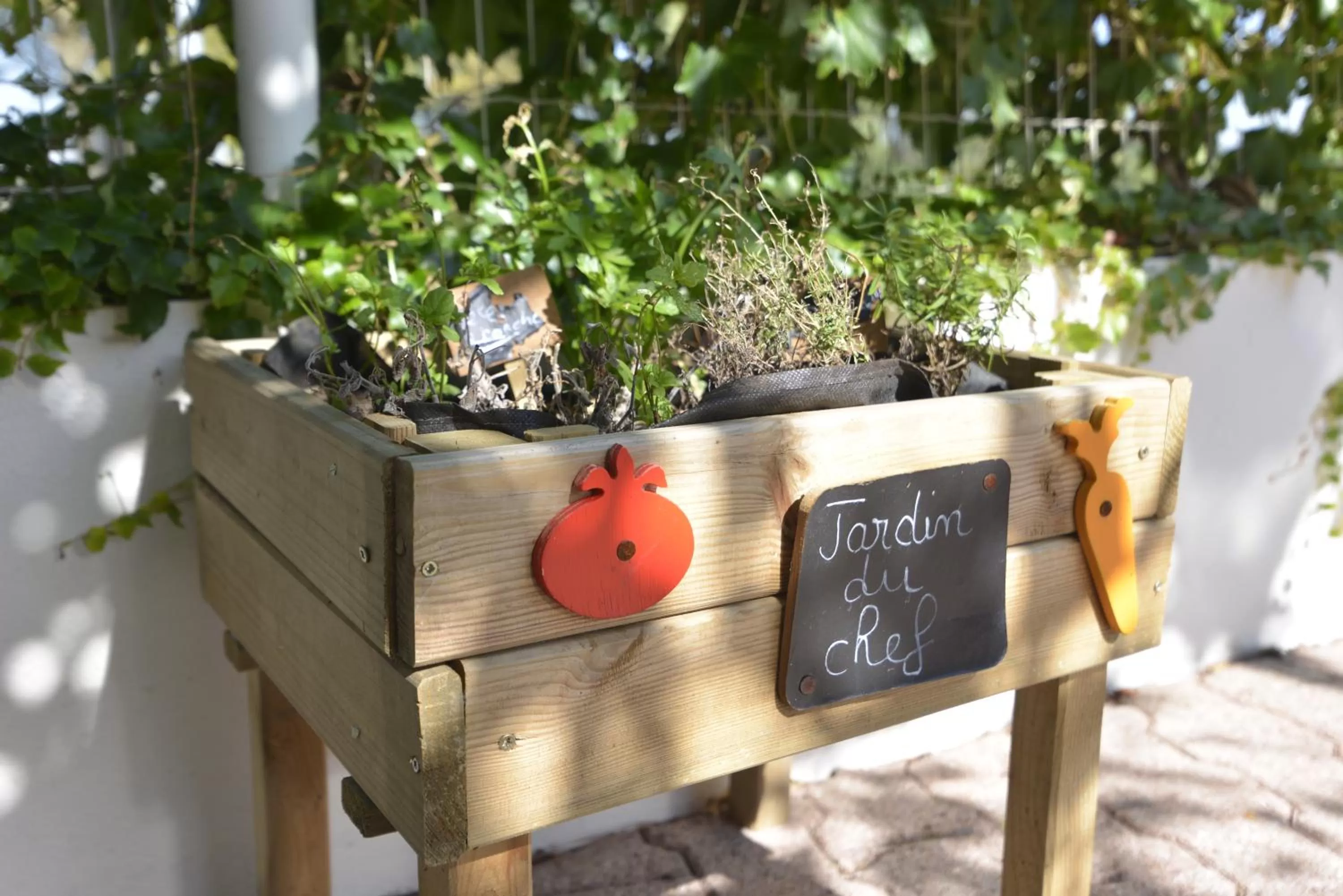 Food in Kyriad Hotel Lyon Givors