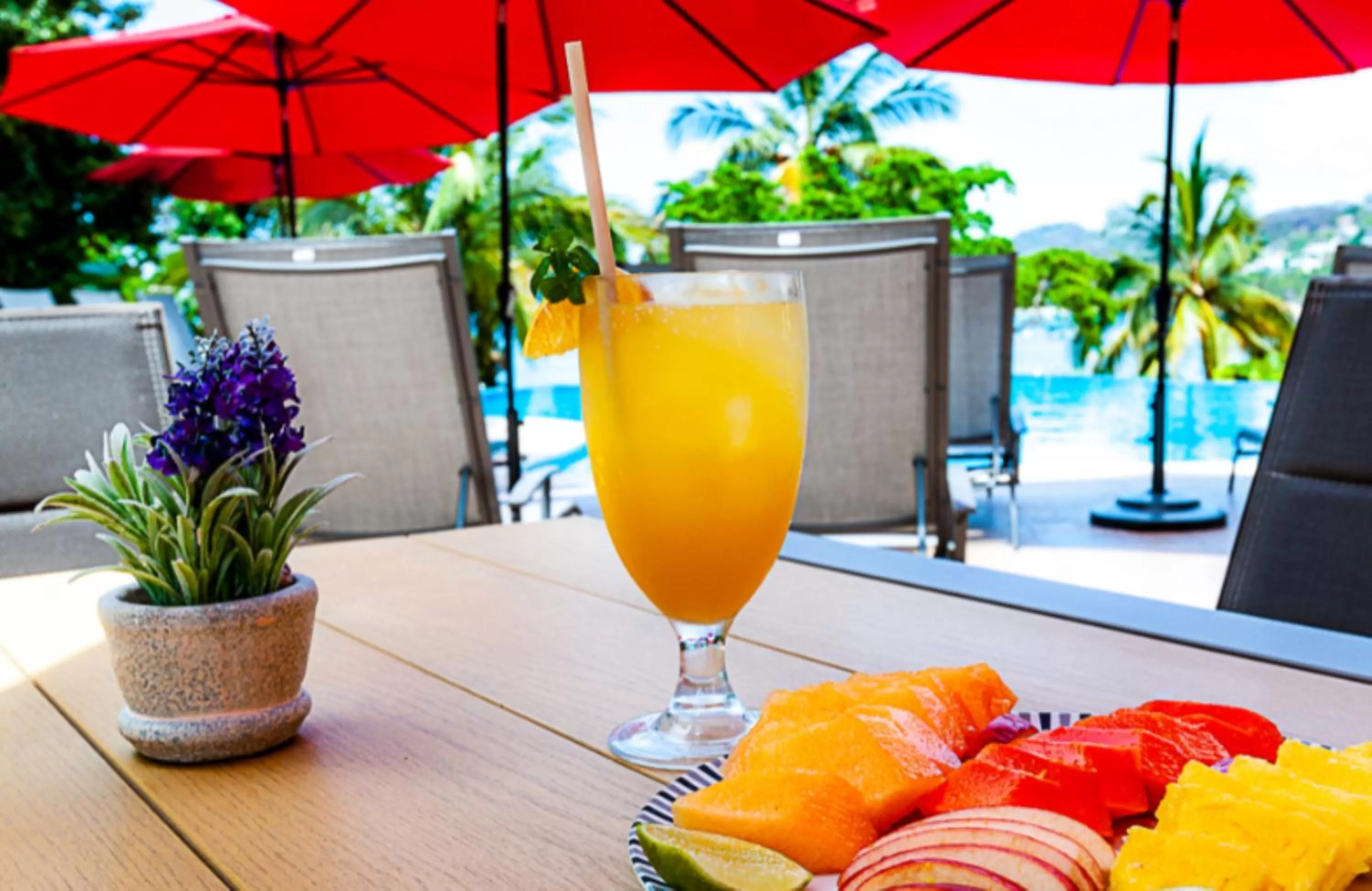 Non alcoholic drinks in Ysuri Sayulita - Beachfront Hotel