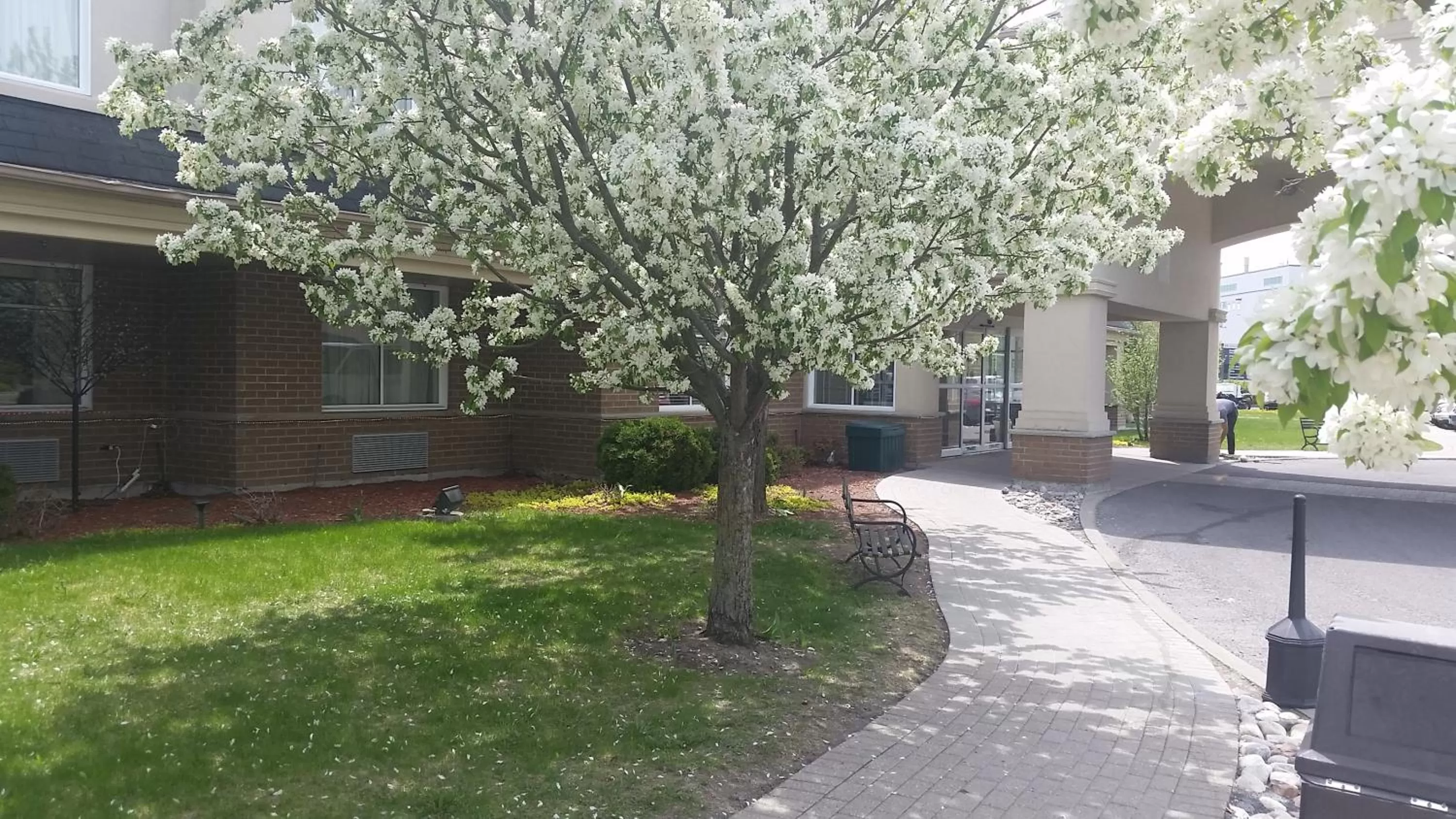 Day in Days Inn by Wyndham Ottawa Airport