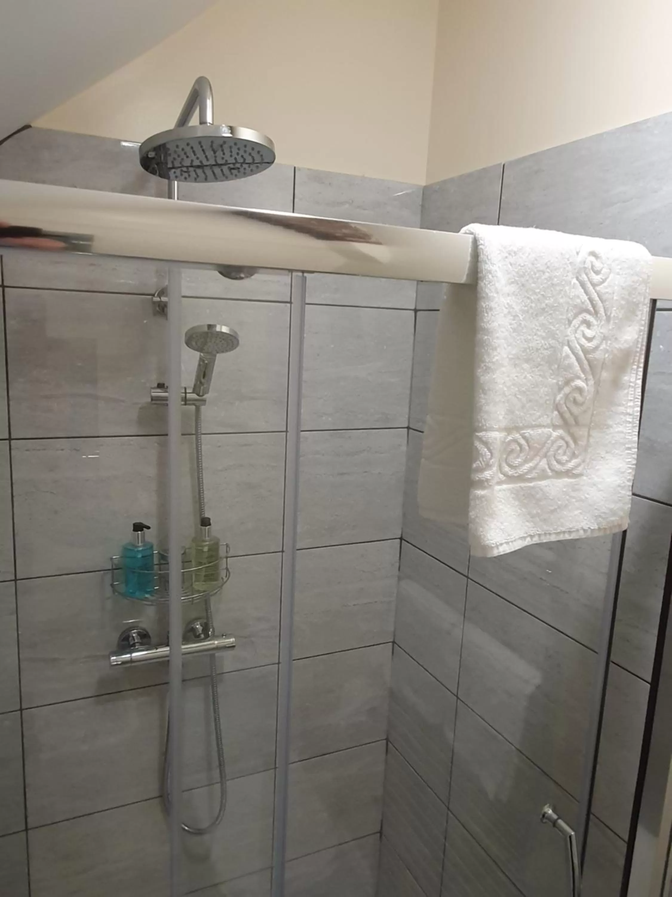 Shower in Alexandra Hotel