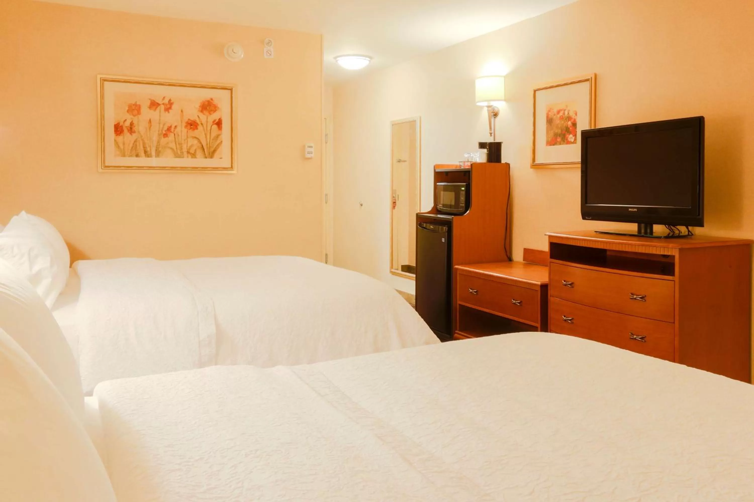 Queen Room with Two Queen Beds with Bath Tub - Hearing Accessible in Hampton Inn & Suites Tomball