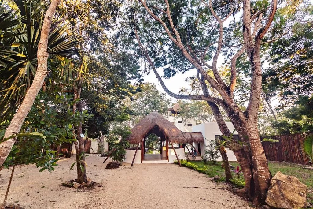 Natural landscape in Mi Kasa Tu Kasa Bacalar