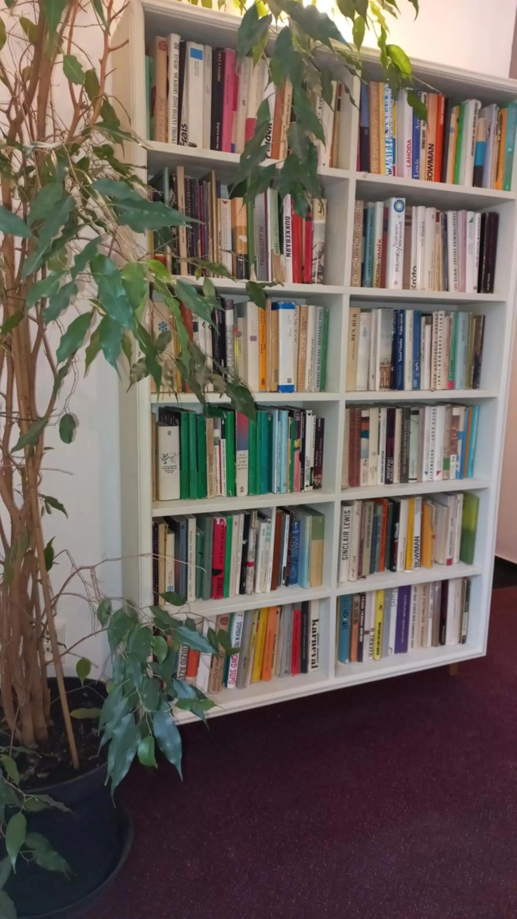 Property building, Library in Hotel Bílá Paní