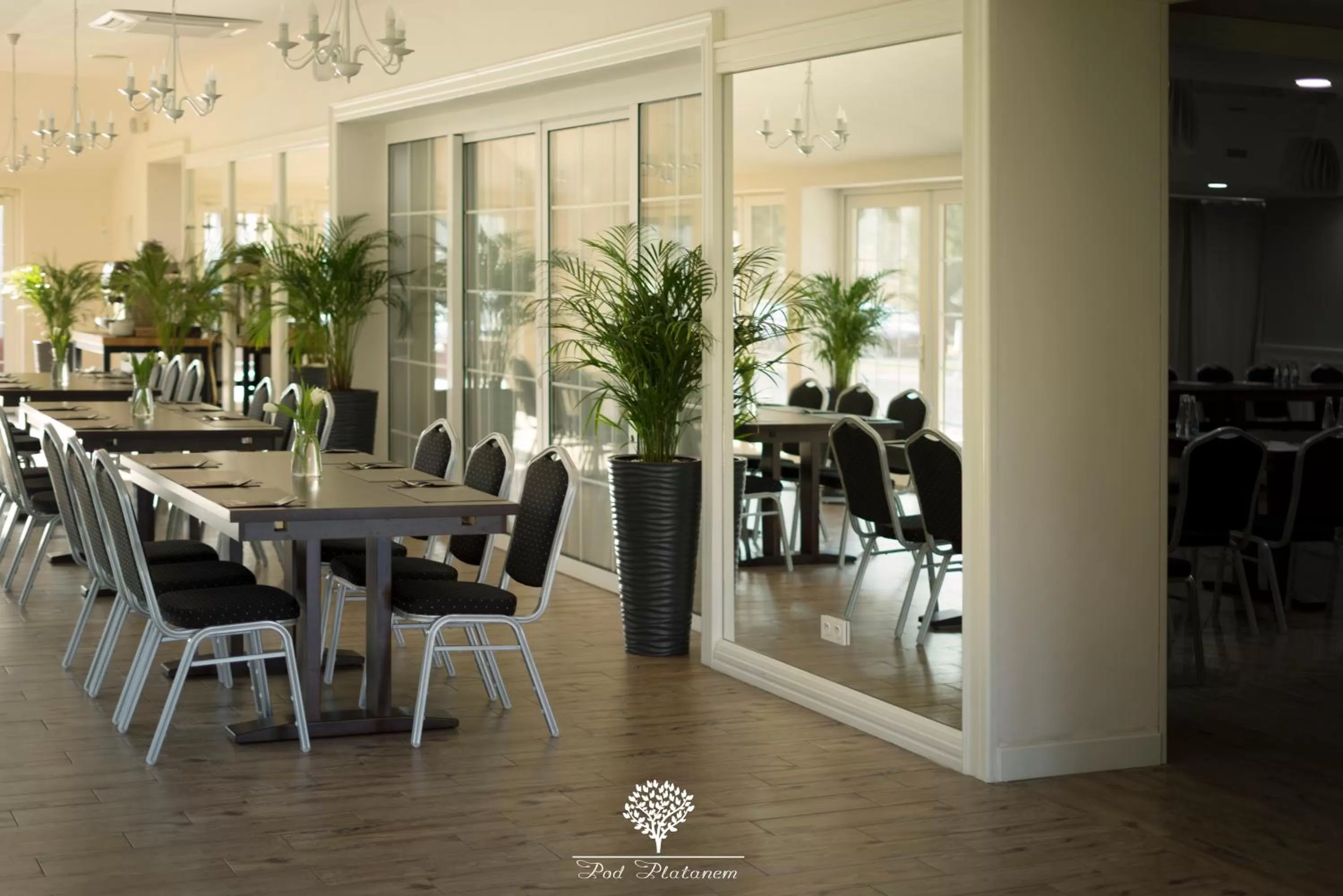 Restaurant/Places to Eat in Pod Platanem Gliwice