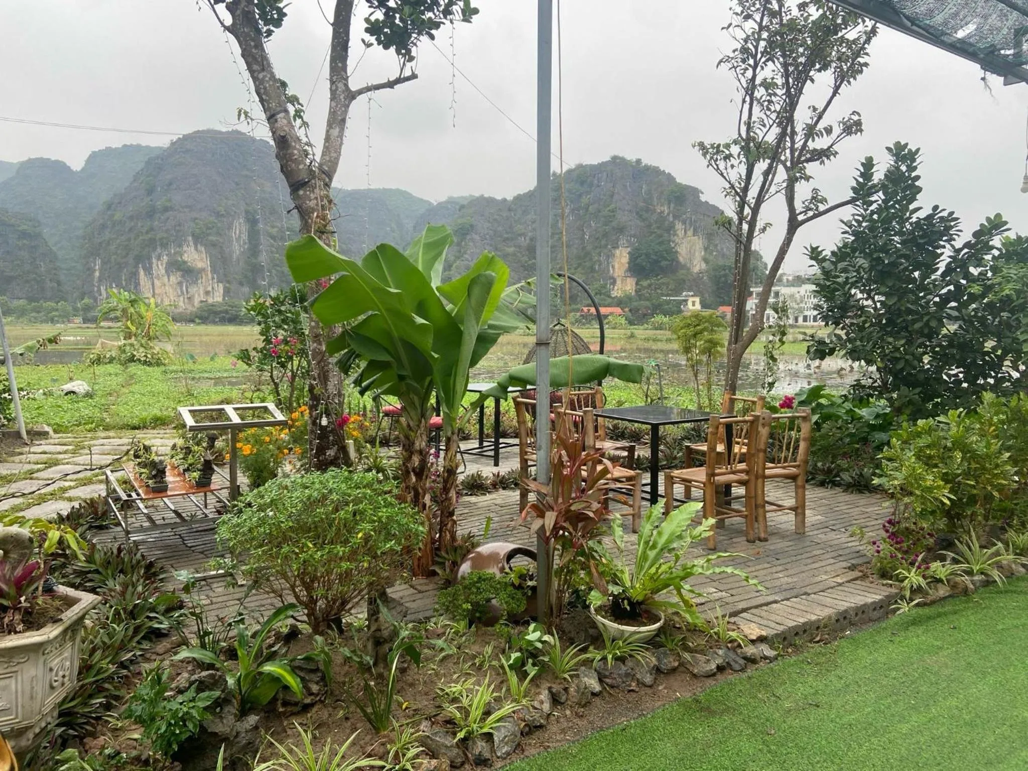 Tam Coc Mountain View Homestay