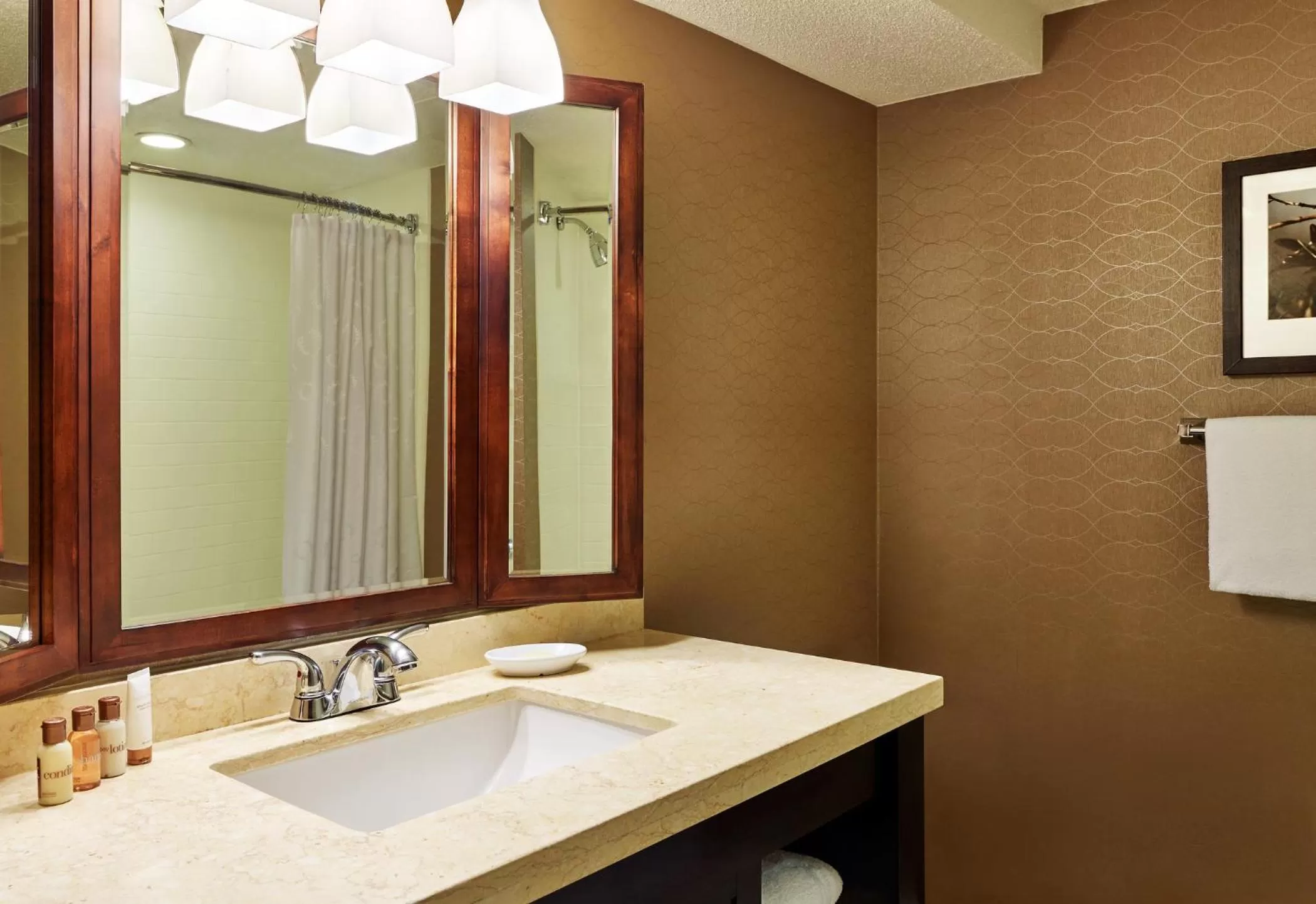 Bathroom in Wyndham College Park North / Washington DC Area