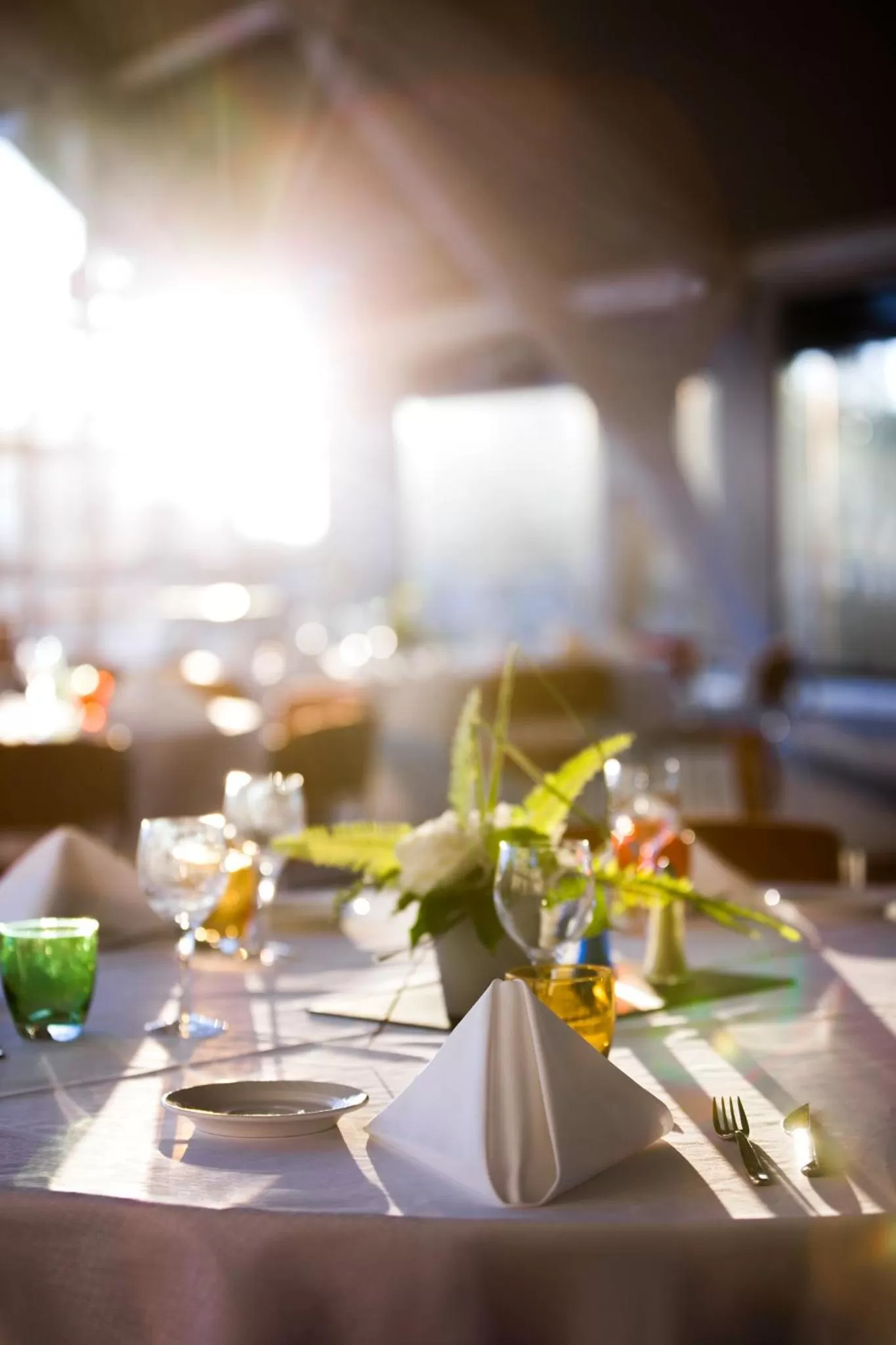 Banquet/Function facilities in Novotel Belfort Centre Atria