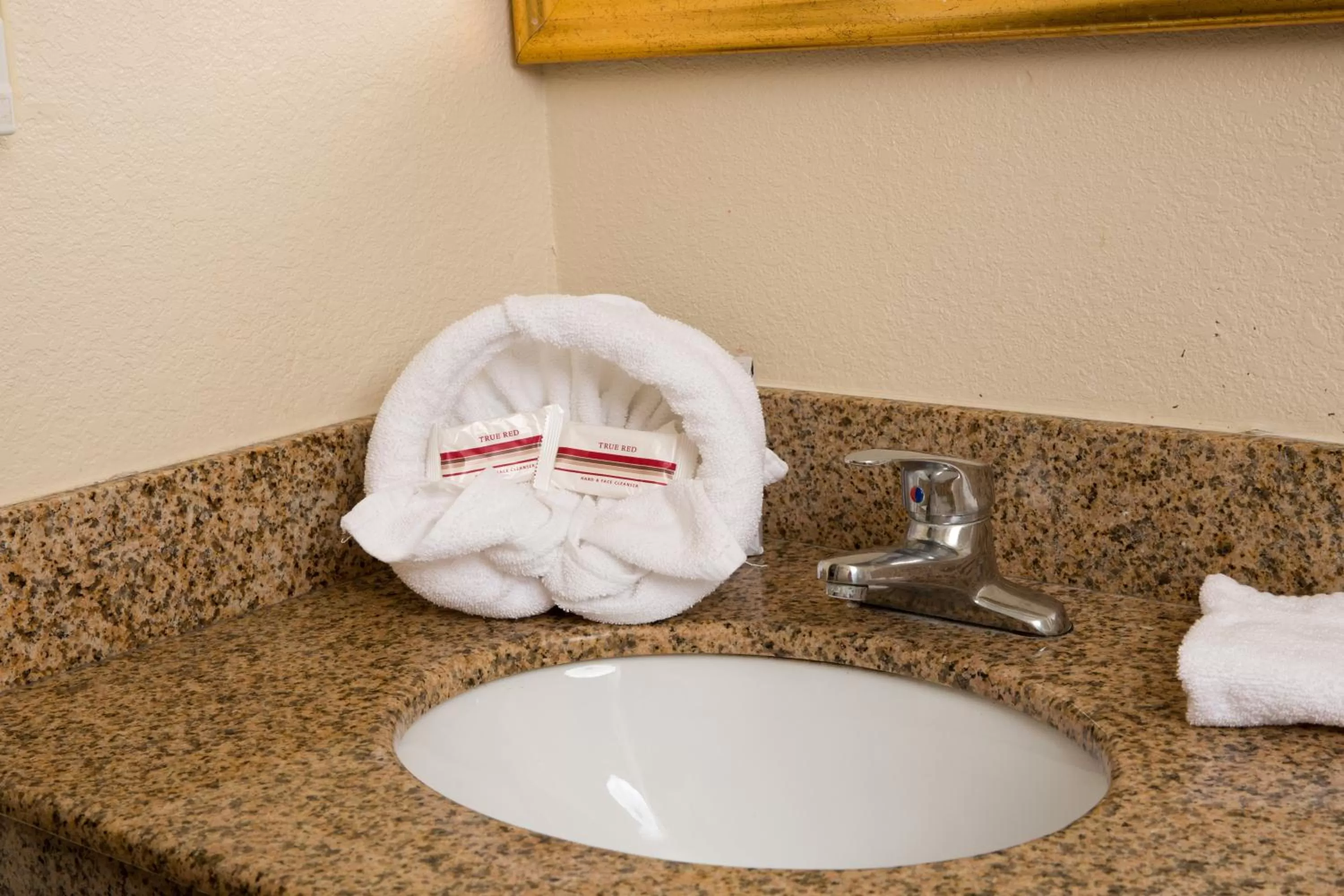 Bathroom in Red Roof Inn & Suites Pigeon Forge Parkway