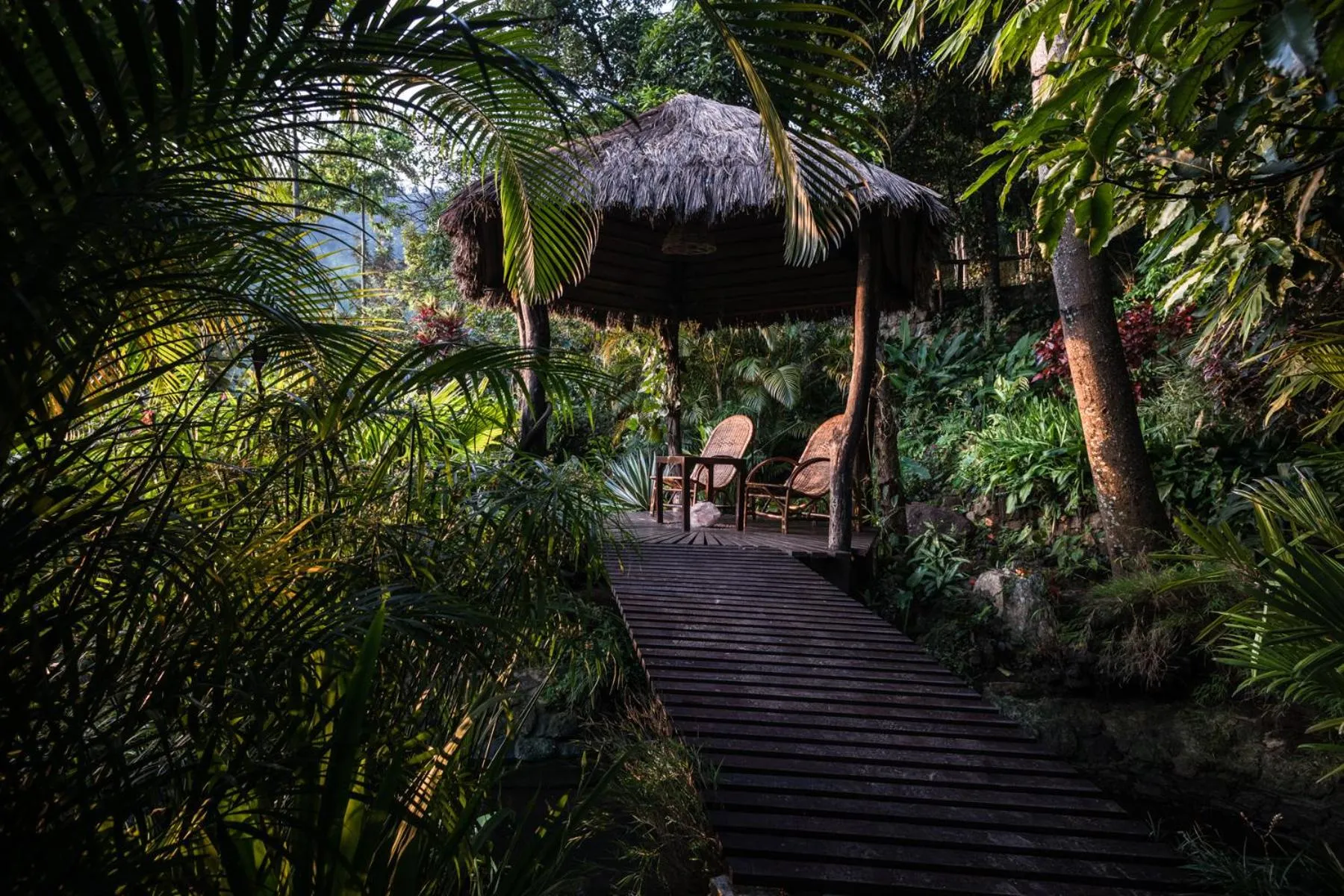Garden in Yasmin Hill Longevity Oasis